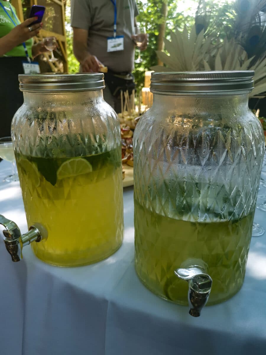 zattera sul fiume sava slovenia zattera sul fiume sava slovenia