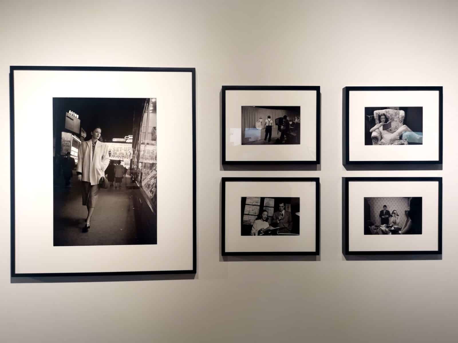 Rosemary Williams Rosemary Williams