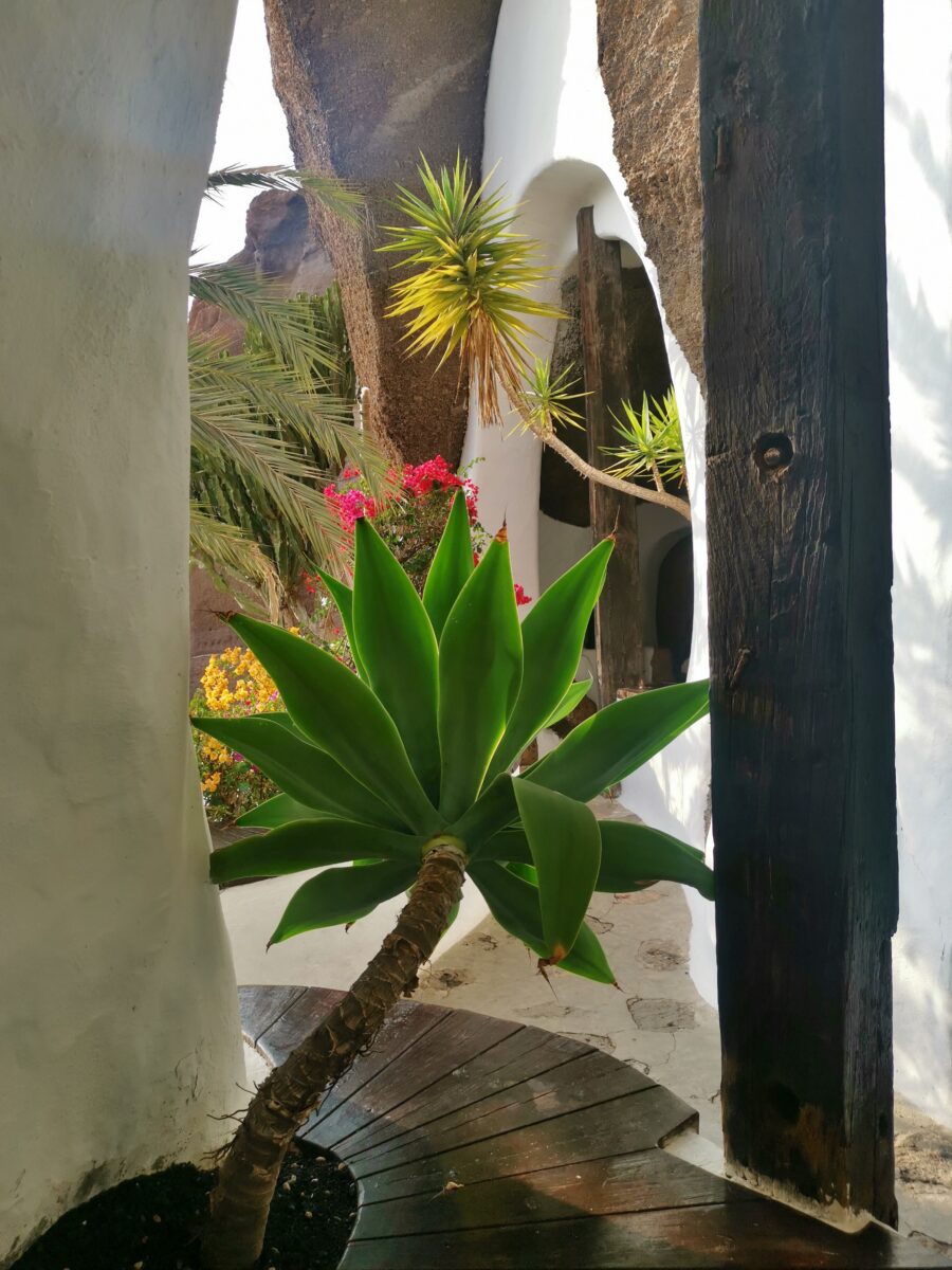 casa di omar sharif casa di omar sharif