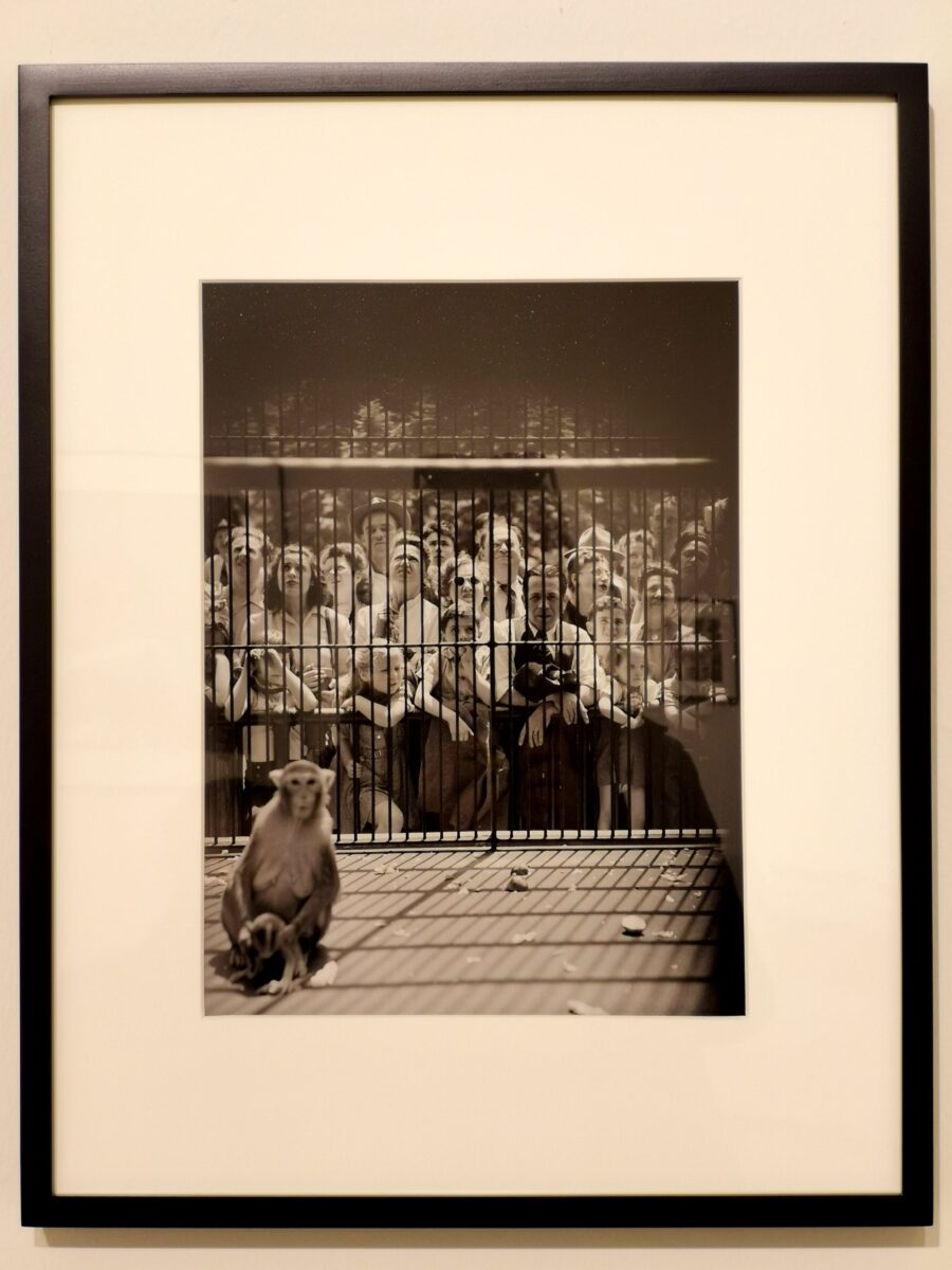 kubrick mostra fotografica kubrick mostra fotografica