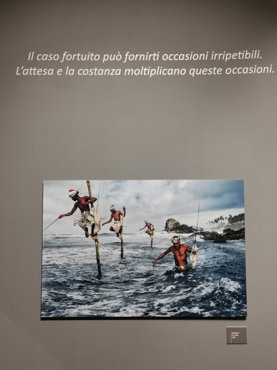 foto steve mc curry mostra