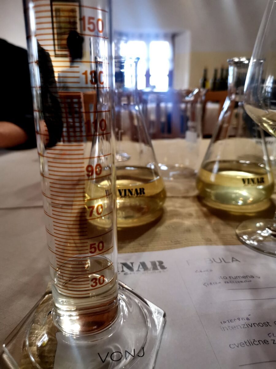 Creazione del mio vino a Cejkotova domacija Creazione del mio vino a Cejkotova domacija