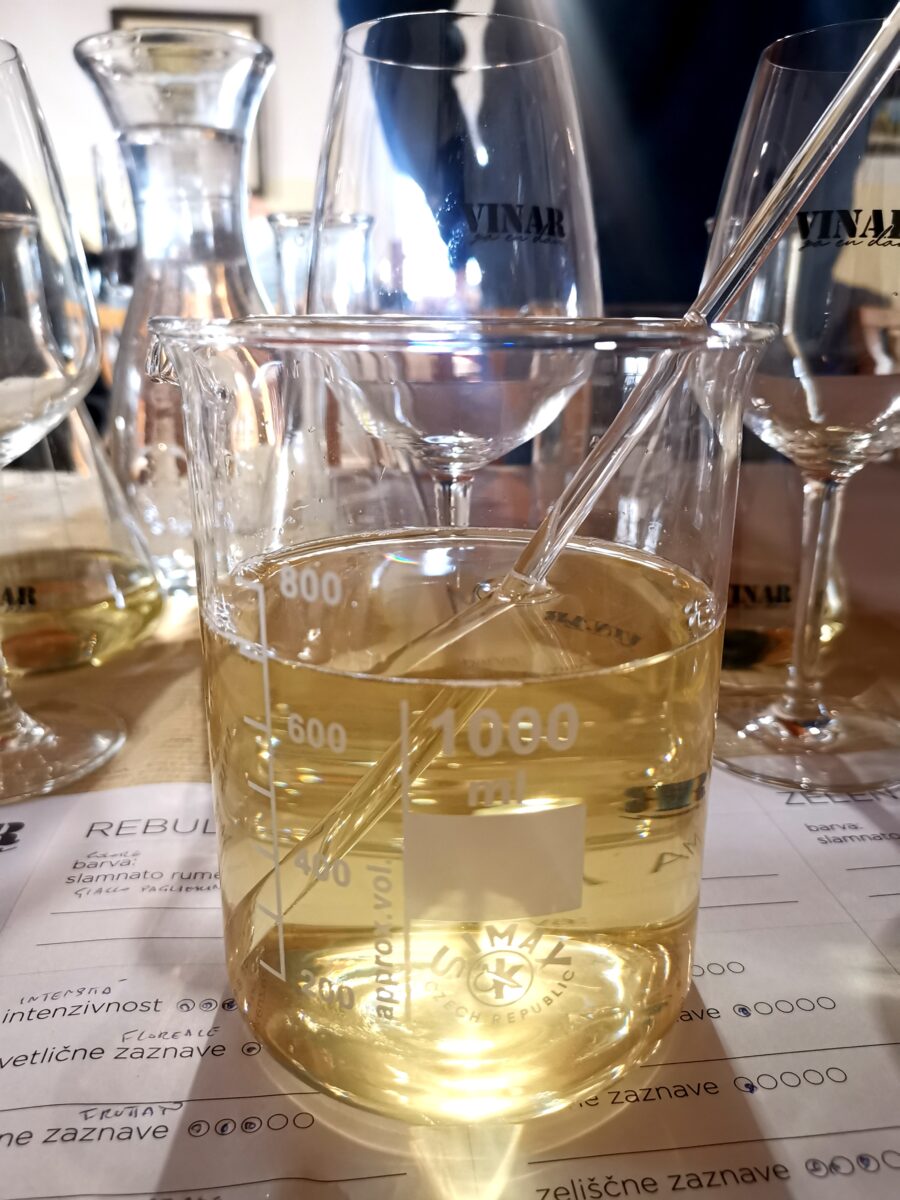 Creazione del mio vino a Cejkotova domacija Creazione del mio vino a Cejkotova domacija