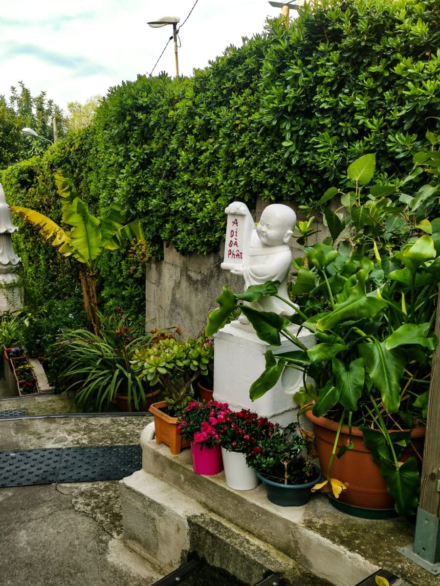 Pagoda Tu Quang Pagoda Tu Quang