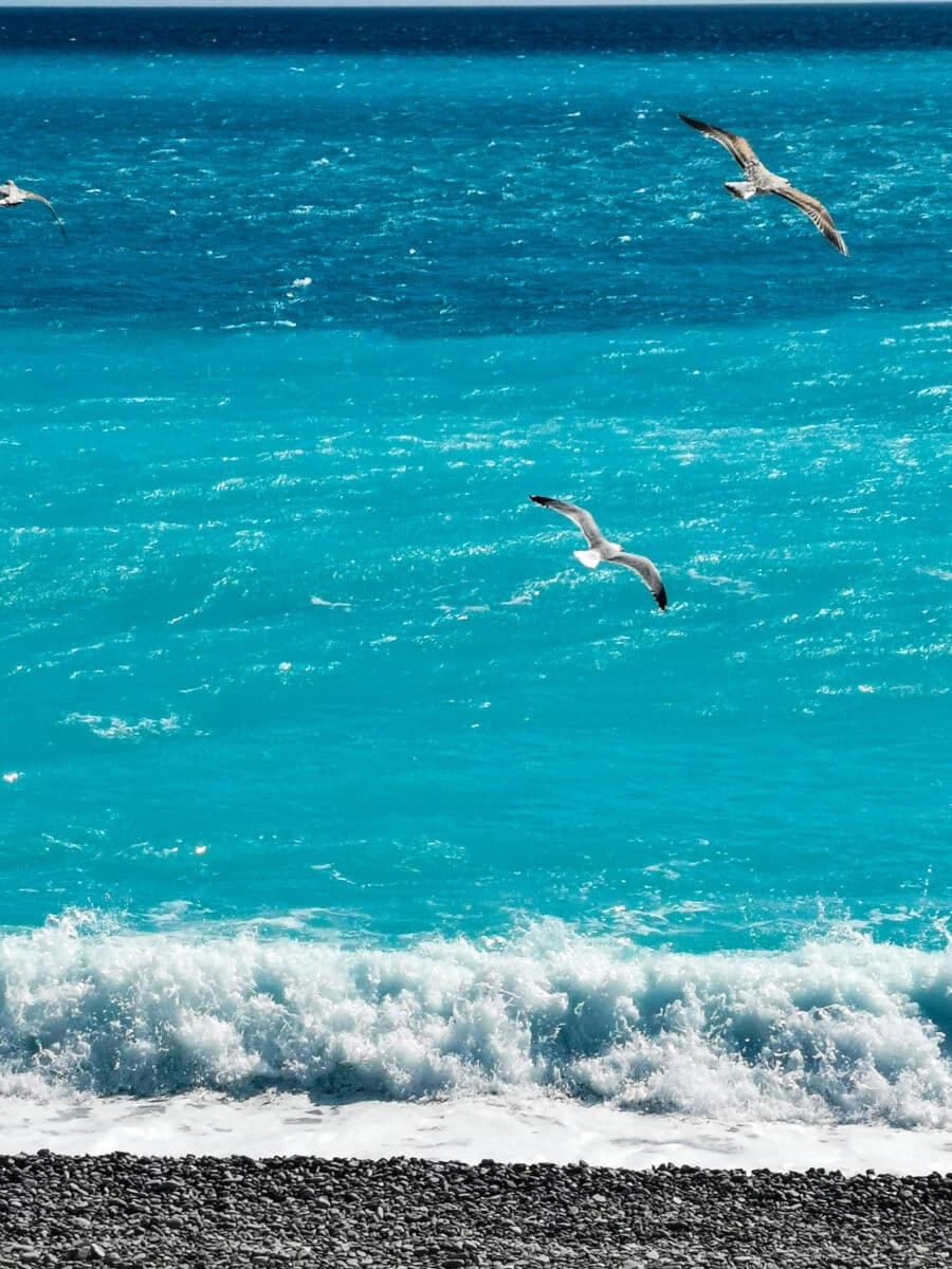 Promenade Des Anglais Promenade Des Anglais