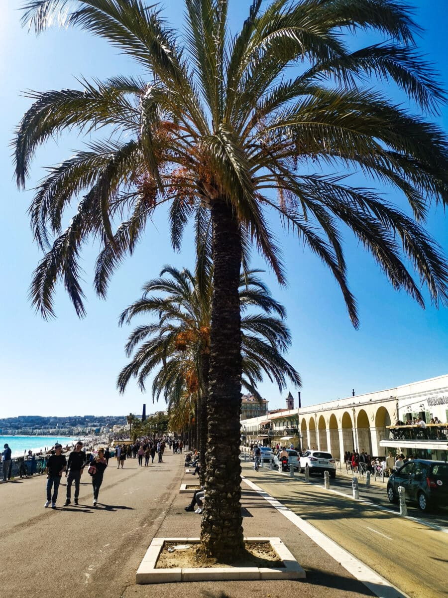Promenade Des Anglais Promenade Des Anglais