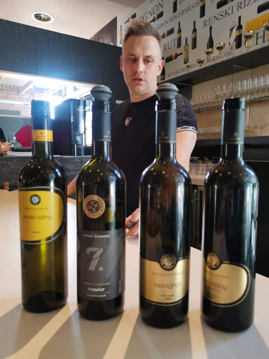 Degustazione alla Cantina Puklavec a Ormož 2 Degustazione alla Cantina Puklavec a Ormož 2