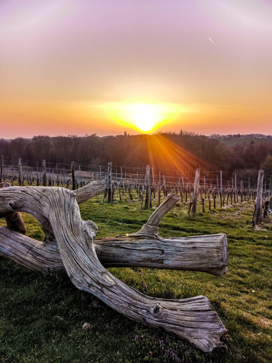 L’agriturismo Puklavec a Zasavci 4 L’agriturismo Puklavec a Zasavci 4