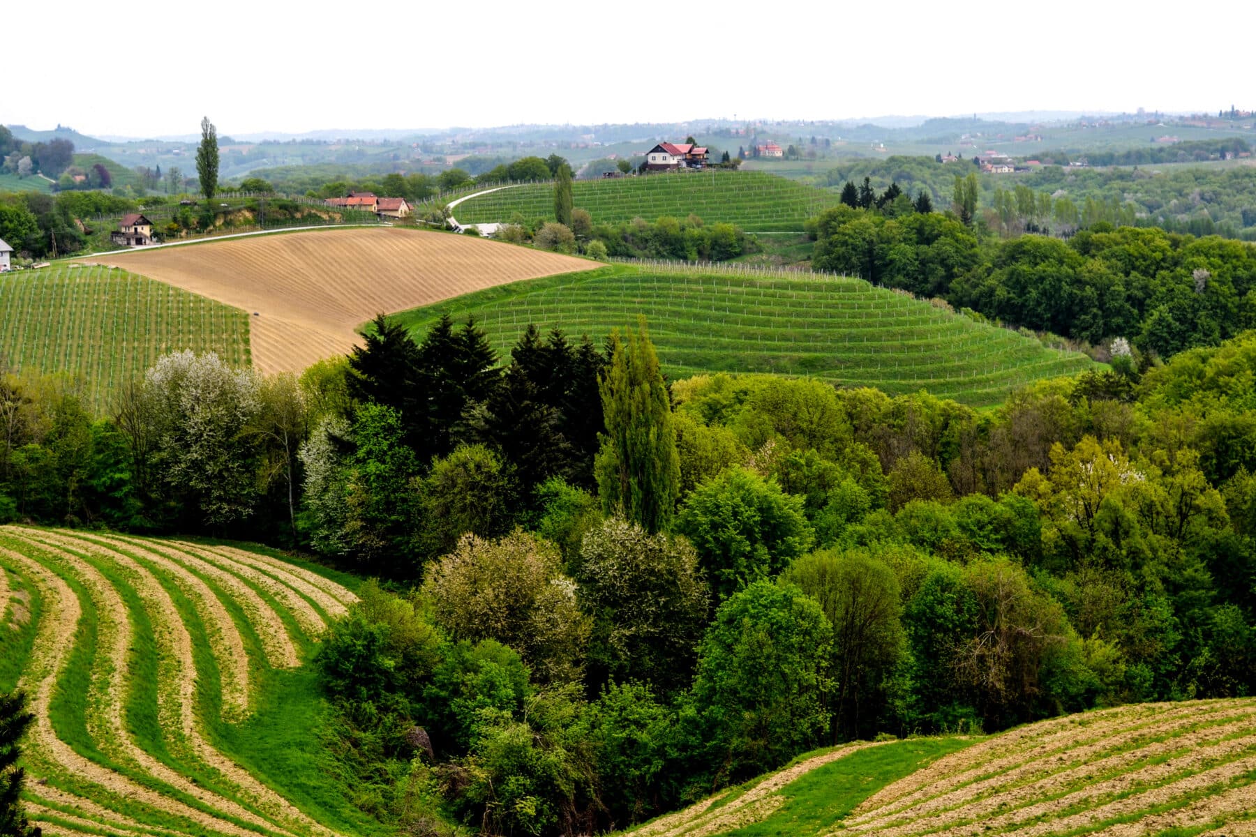 Le colline di Jeruzalem Le colline di Jeruzalem