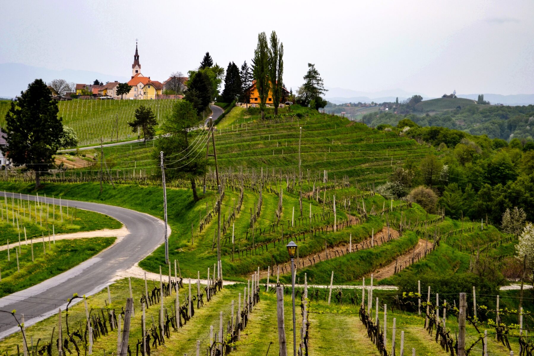 Il villaggio di Jeruzalem lungo la strada del vino Il villaggio di Jeruzalem lungo la strada del vino