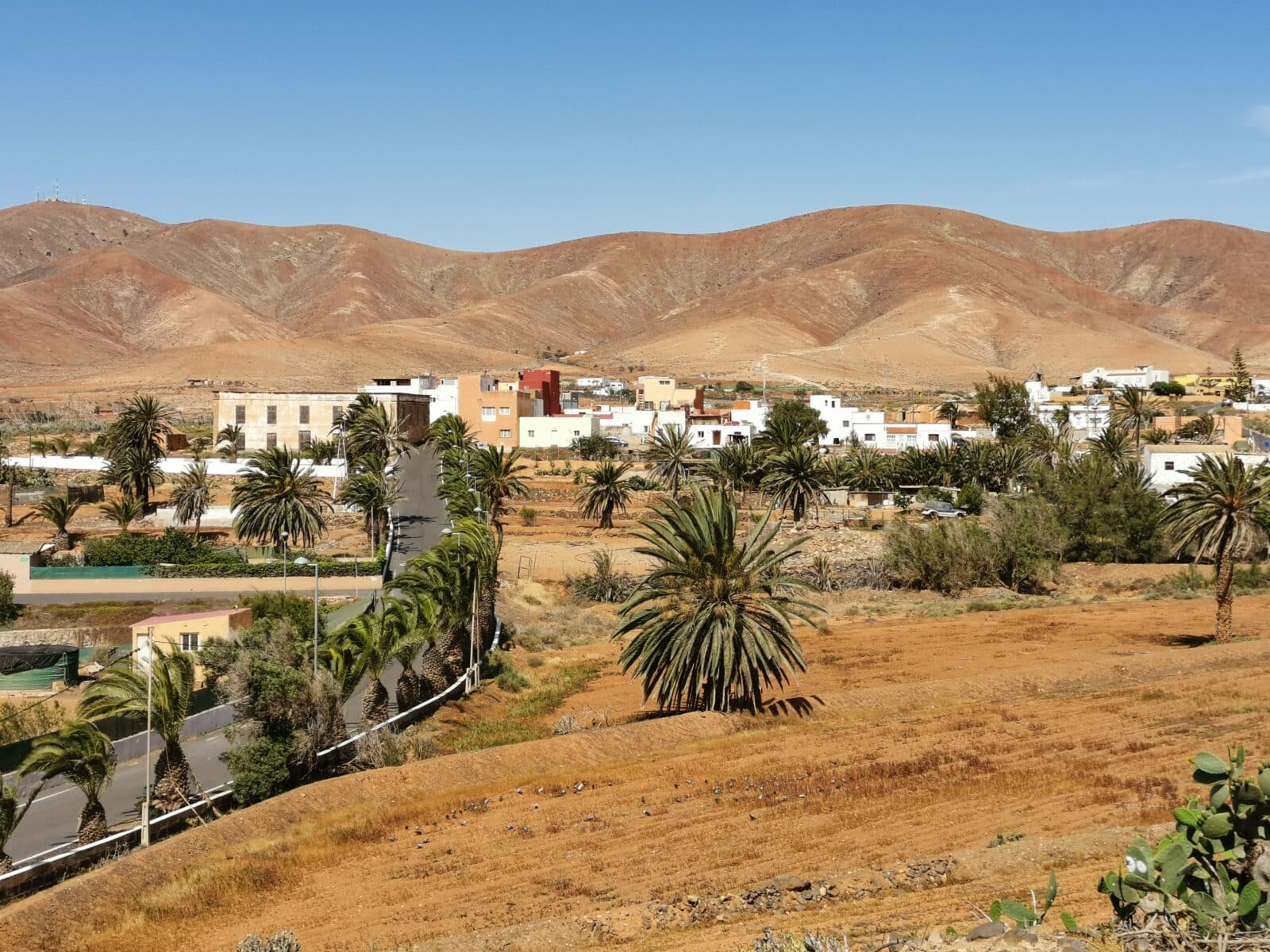 Le pianure e le colline color rame di Antigua Le pianure e le colline color rame di Antigua