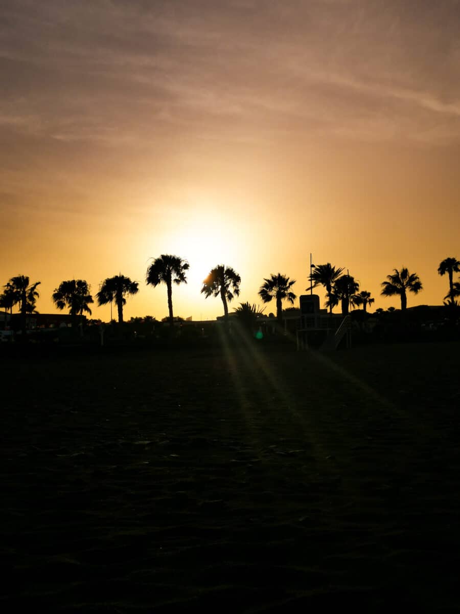 Las Playtas Las Playtas