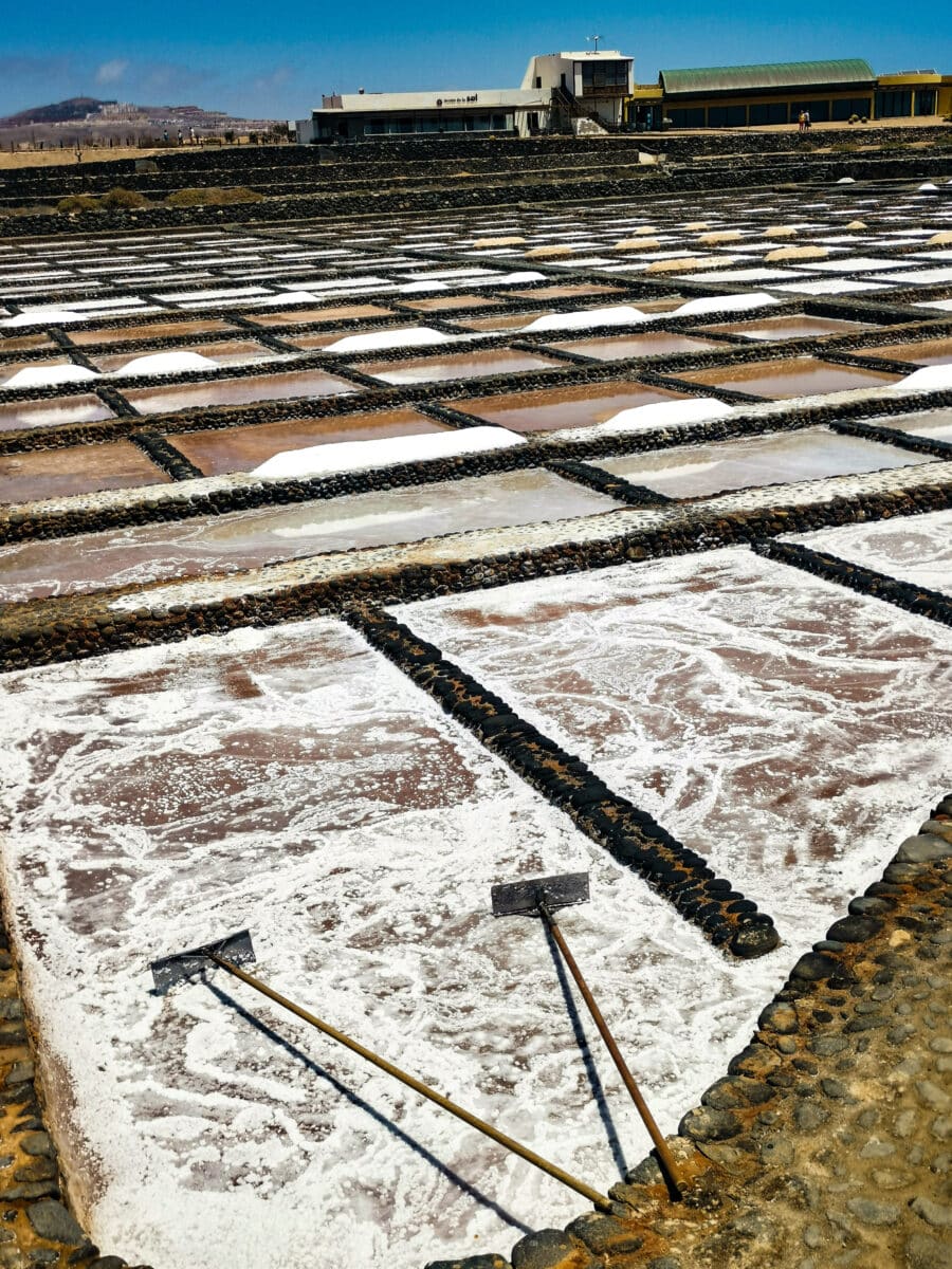 Salinas del Carmen Salinas del Carmen