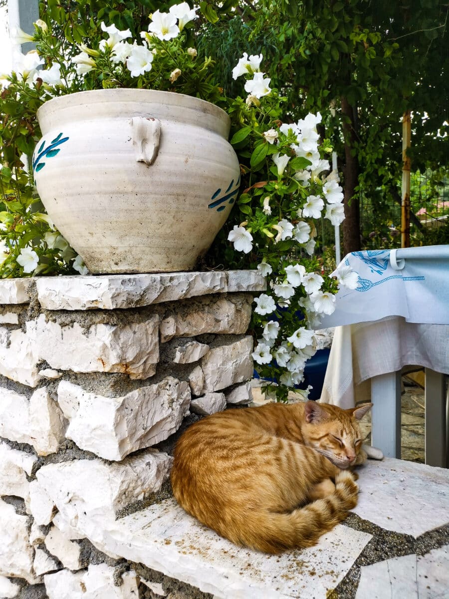 Baia di Dhessimi Baia di Dhessimi