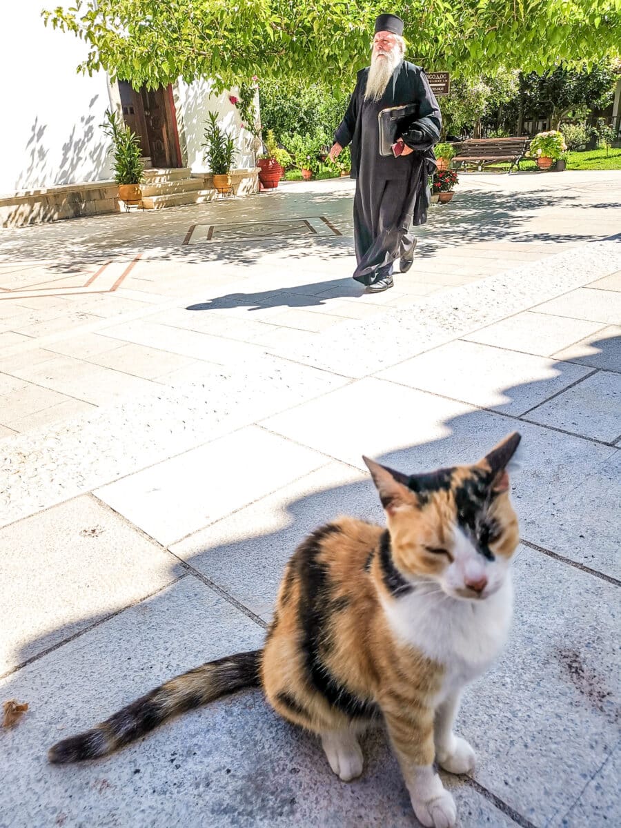 Monastero di Faneromeni Monastero di Faneromeni