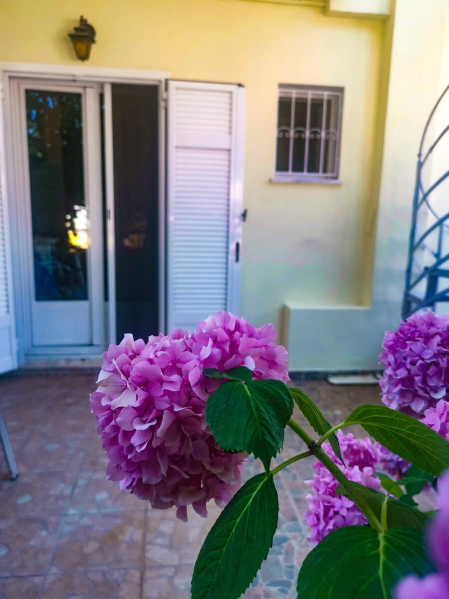 Pansion Filoxenia Pansion Filoxenia