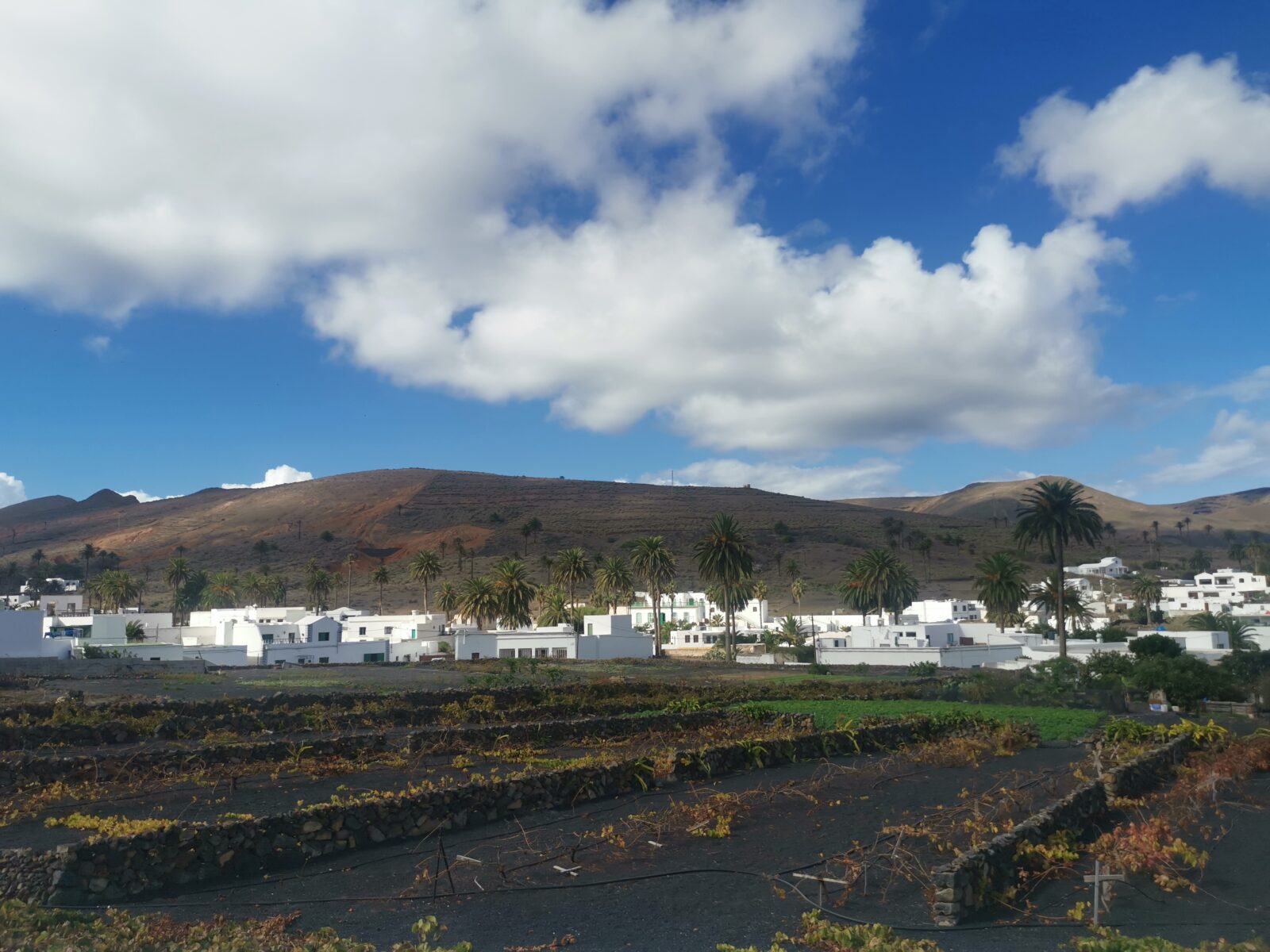cosa vedere a lanzarote cosa vedere a lanzarote