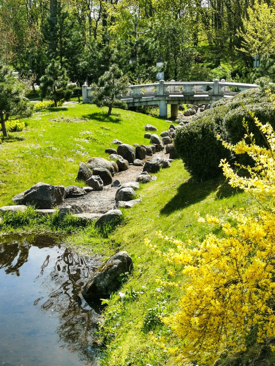 Il giardino giapponese Il giardino giapponese