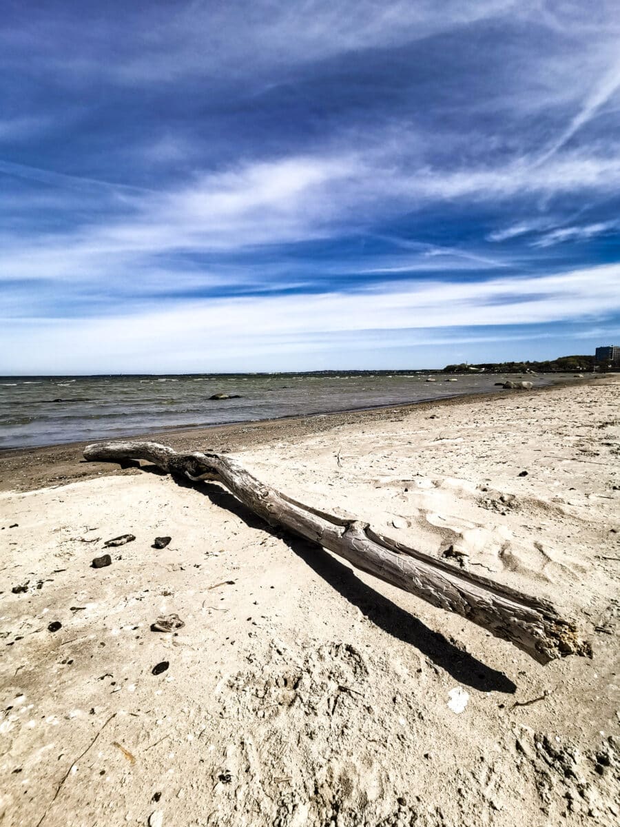 La spiaggia di Pirita La spiaggia di Pirita