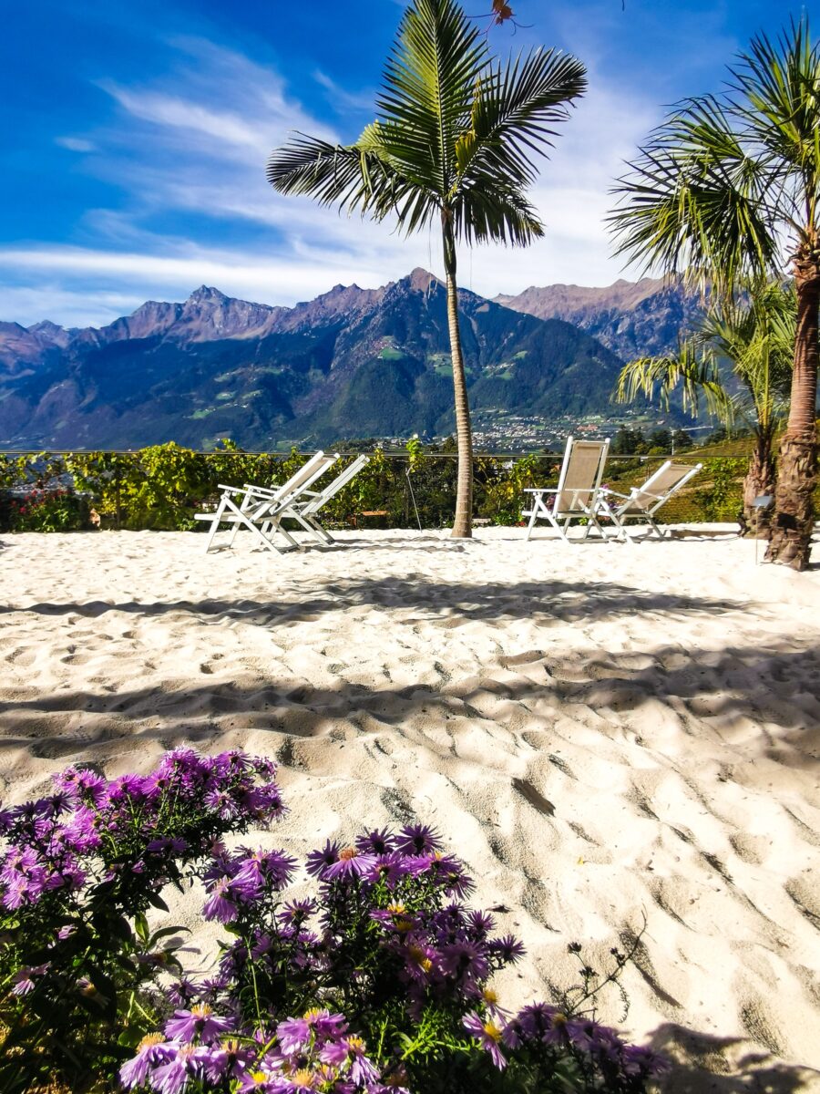 La spiaggia delle palme La spiaggia delle palme