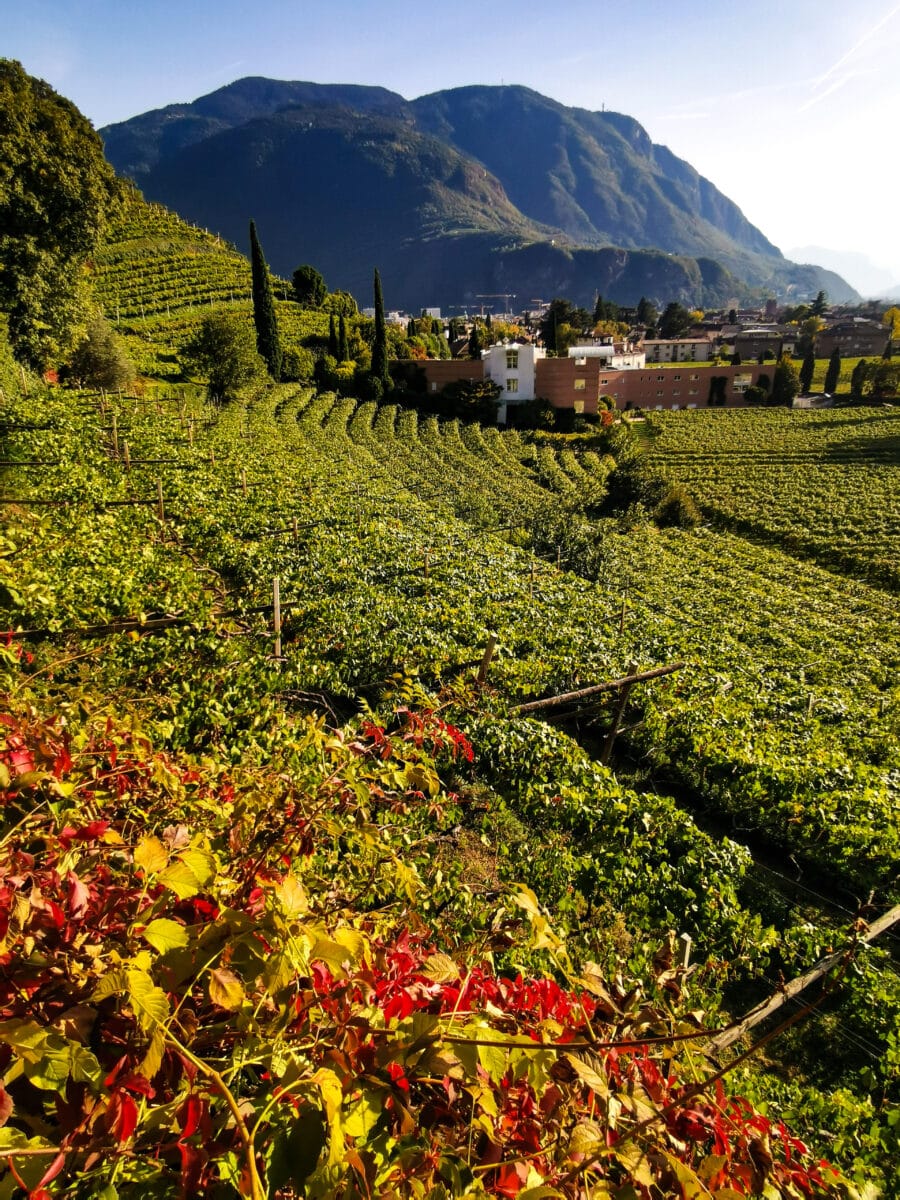 Passeggiata Sant'Osvaldo Passeggiata Sant'Osvaldo