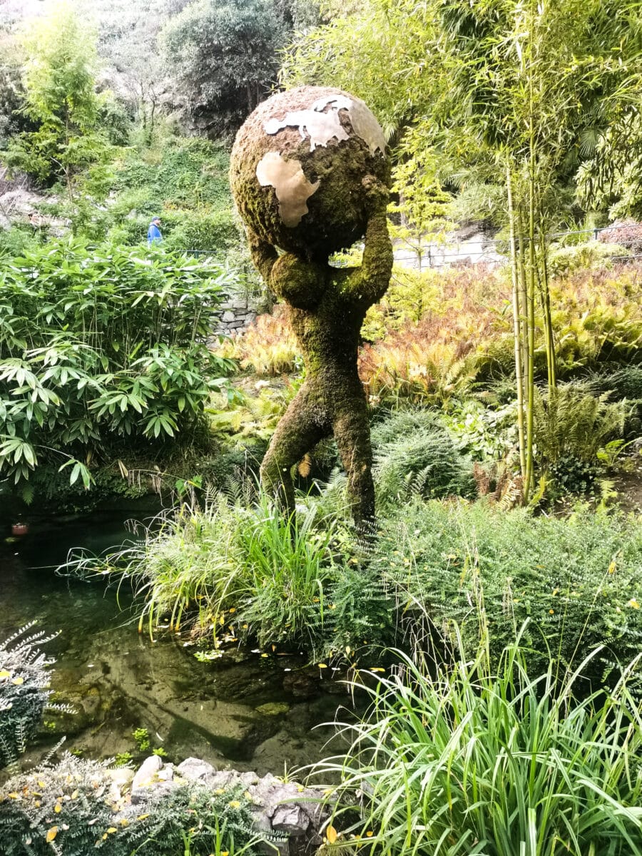 Una delle figure realizzate con le piante Una delle figure realizzate con le piante