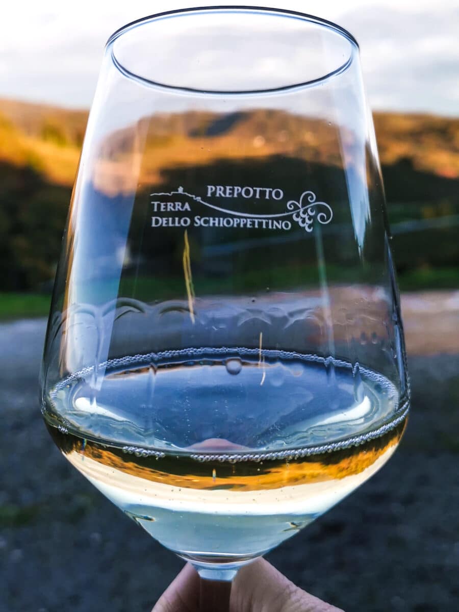 Prepotto, terra dello Schioppettino Prepotto, terra dello Schioppettino