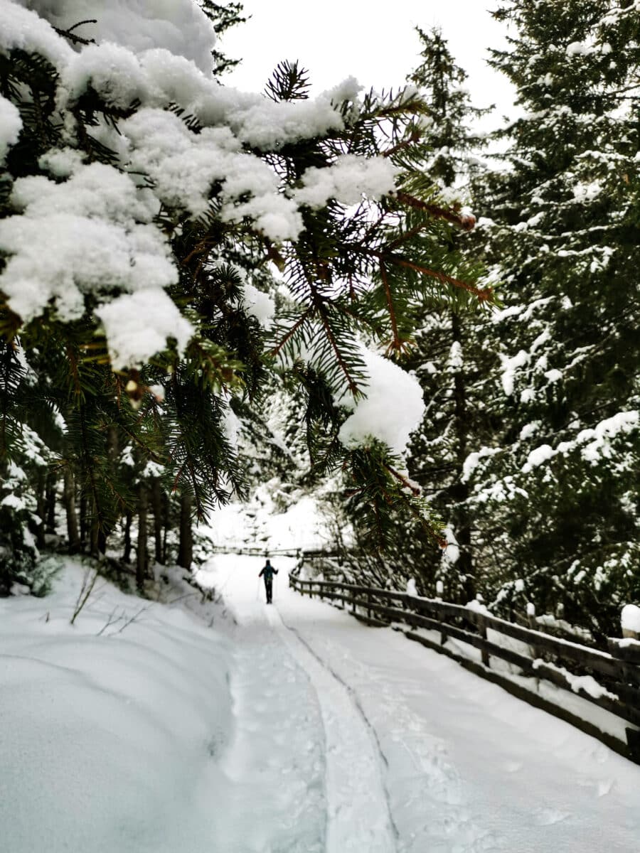 Lungo il sentiero delle cascate Lungo il sentiero delle cascate
