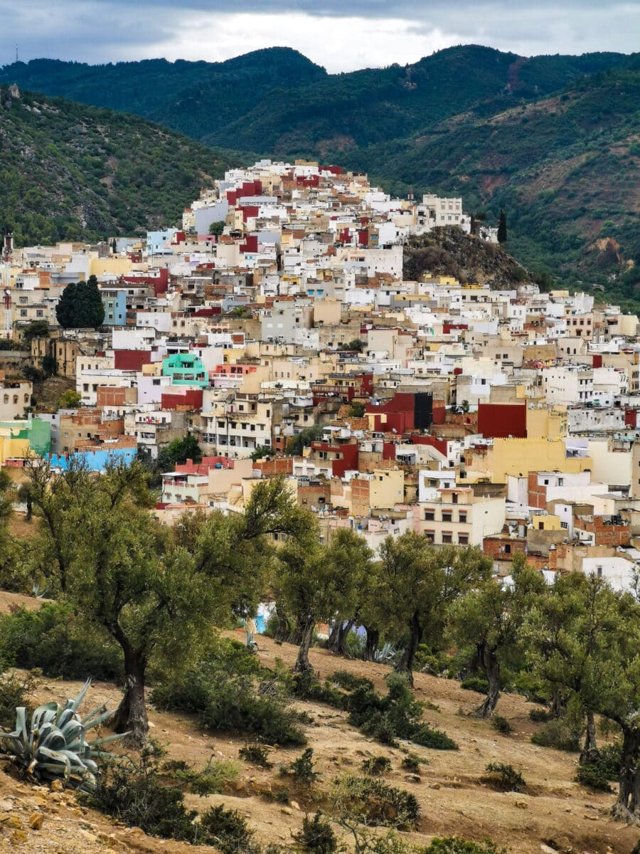 Moulay Idriss Moulay Idriss