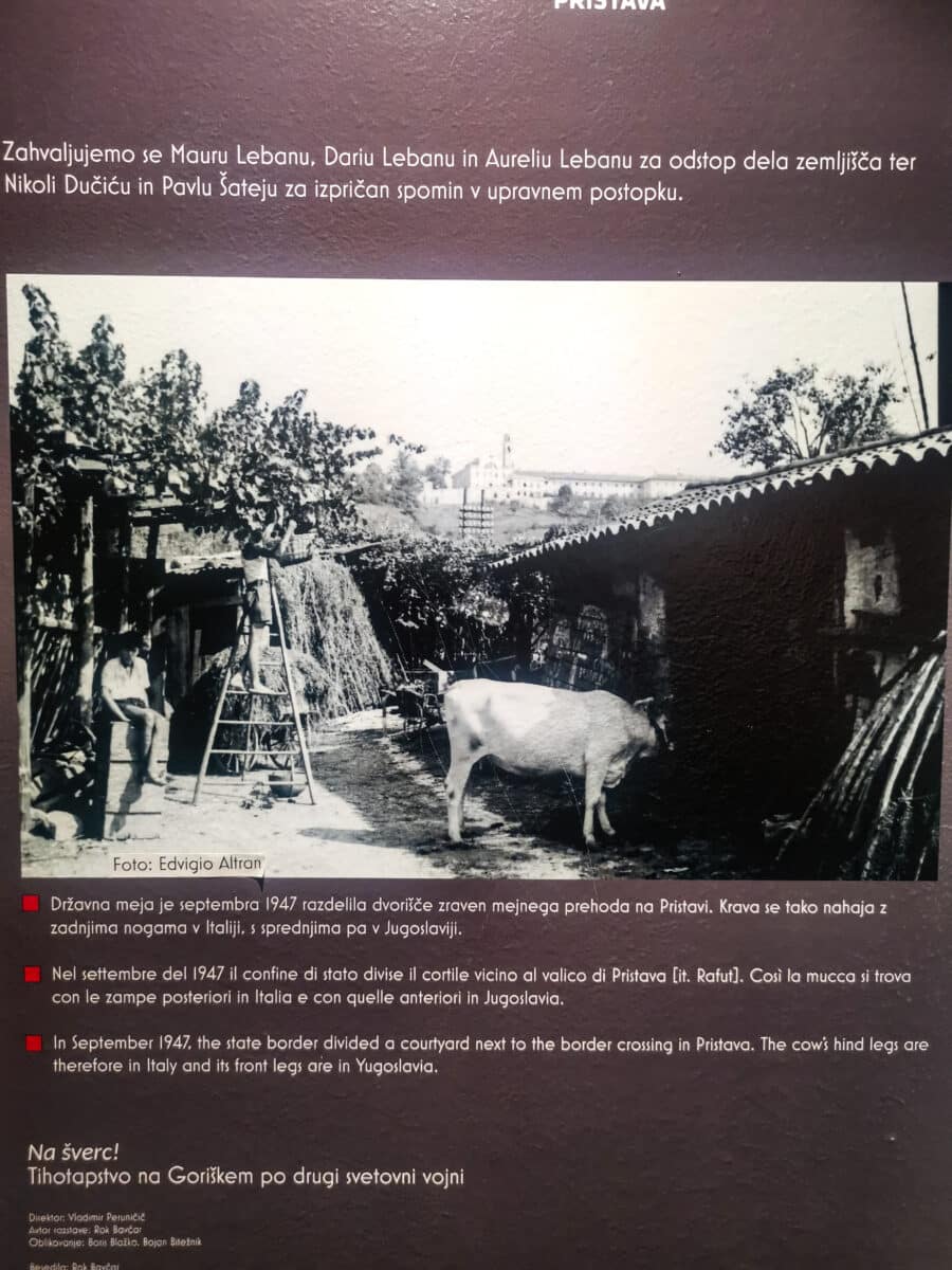 Un'immagine della famosa stalla divisa in due dalla linea bianca Un'immagine della famosa stalla divisa in due dalla linea bianca