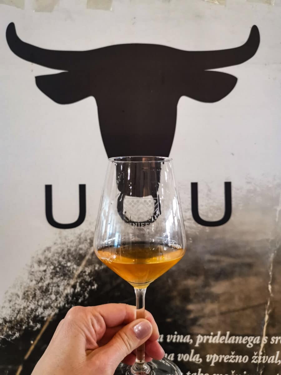 UOU dalla Slovenia UOU dalla Slovenia