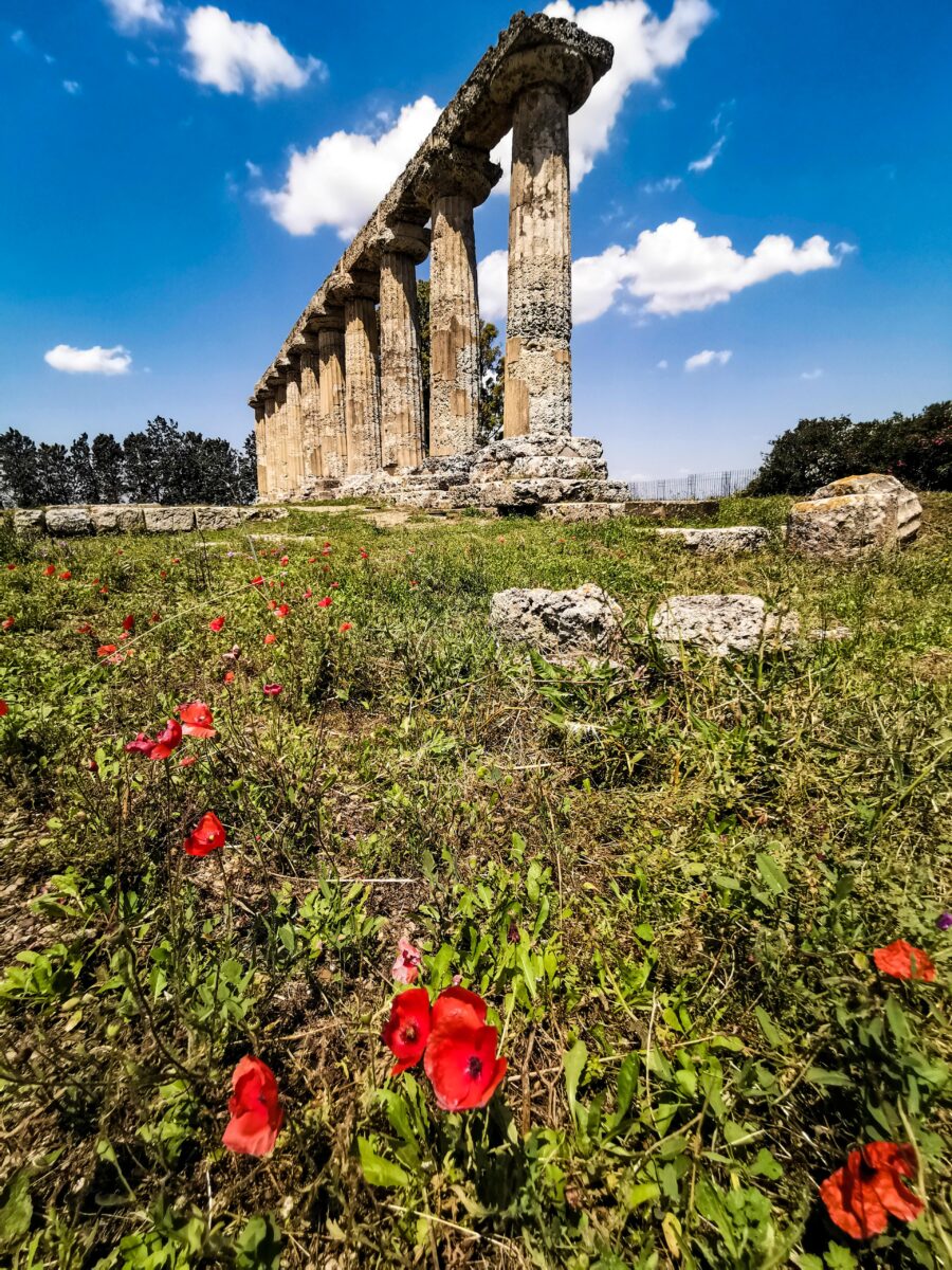 Il tempio di Hera a Metaponto Il tempio di Hera a Metaponto