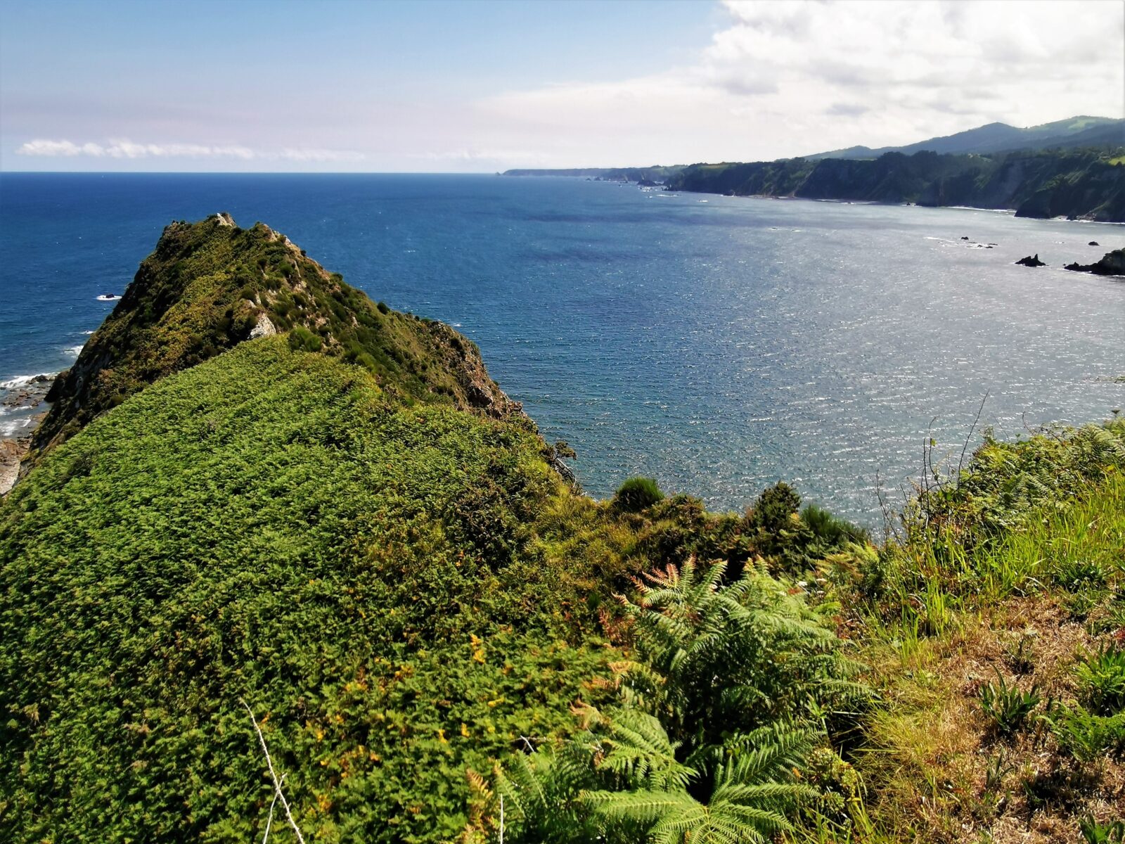 Le verdi Asturie sul promontorio dell'Eremita della Regalina Le verdi Asturie sul promontorio dell'Eremita della Regalina
