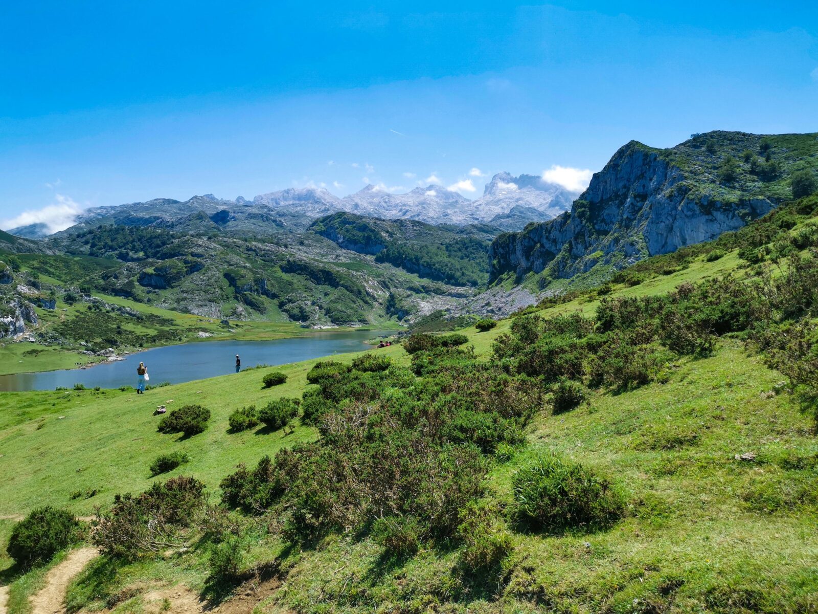 Scorcio del Lago di Ercina Scorcio del Lago di Ercina