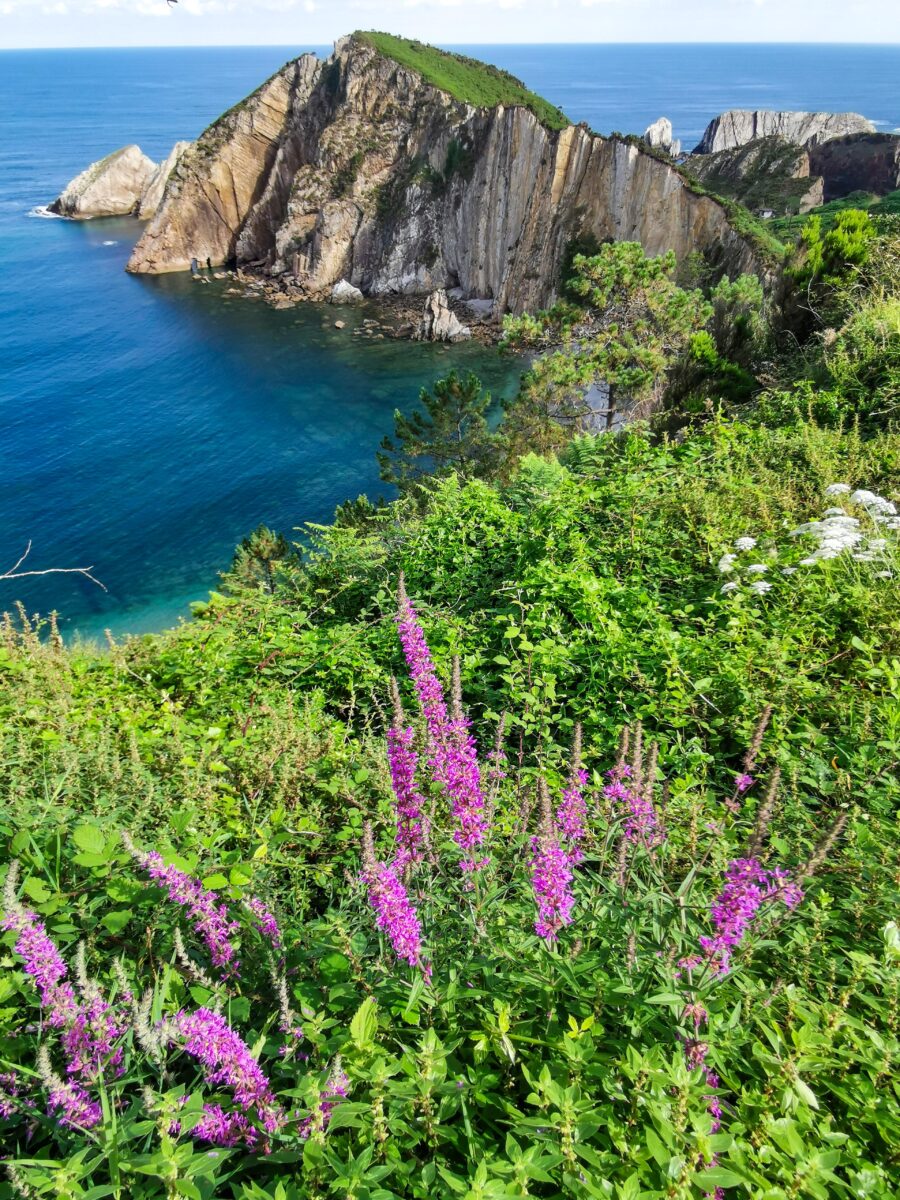 Scorcio di Playa del Silencio Scorcio di Playa del Silencio