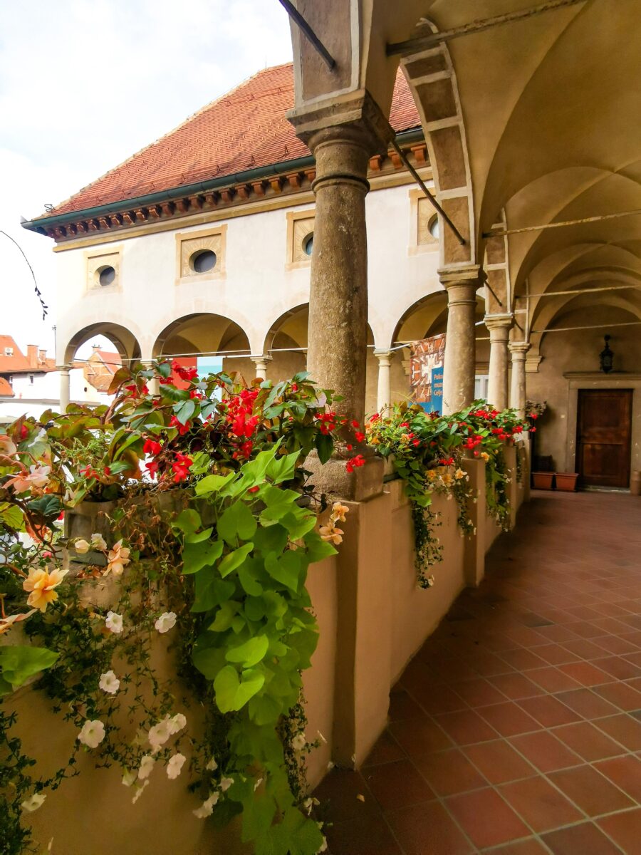 Scorcio dei palazzi storici di Celje Scorcio dei palazzi storici di Celje