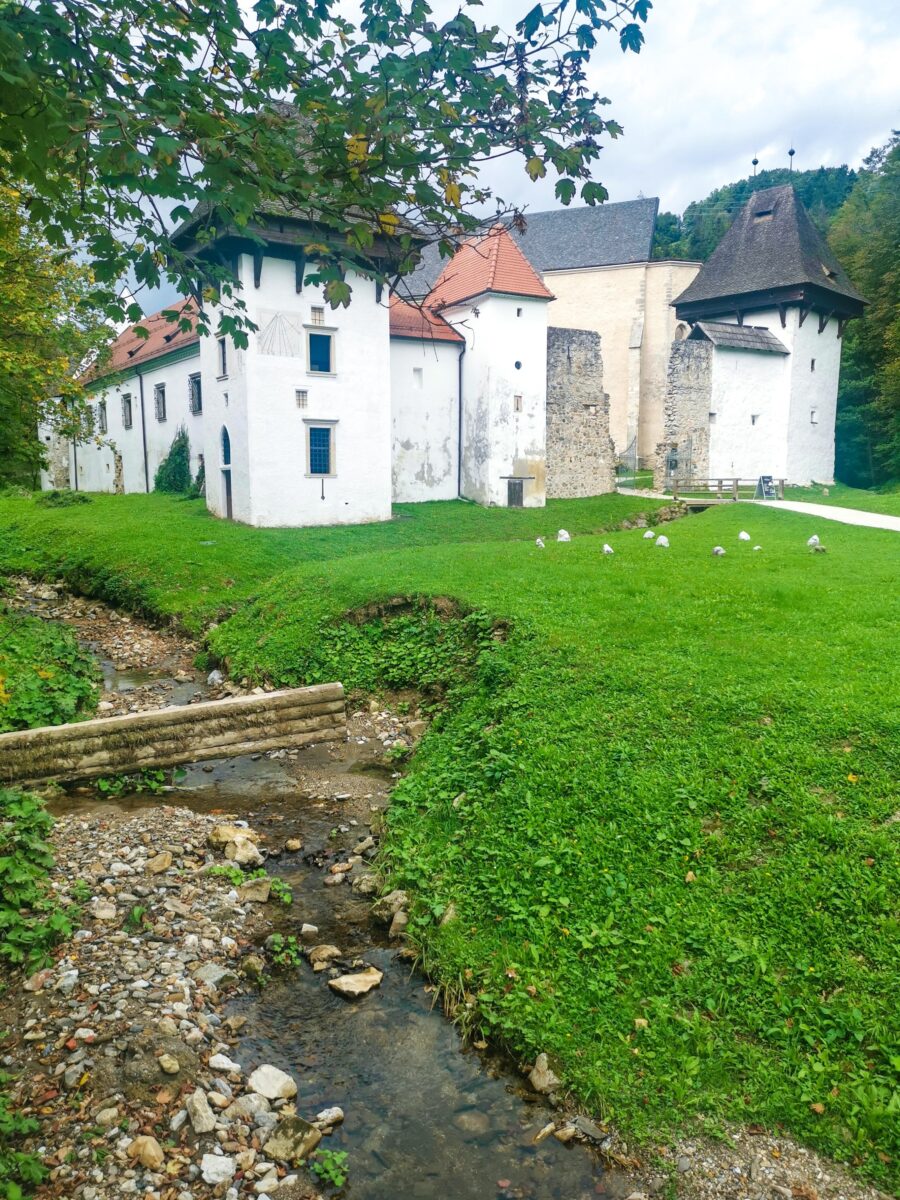 Scorcio della certosa di Seitz Scorcio della certosa di Seitz