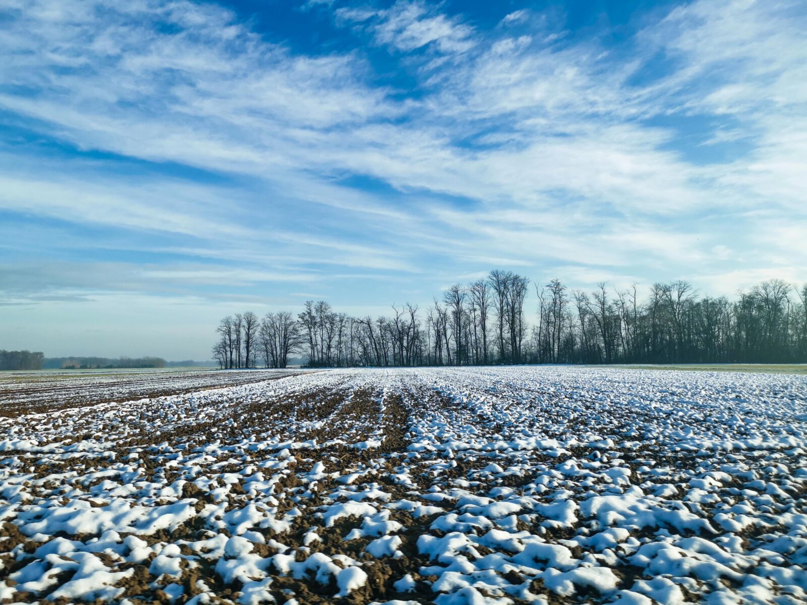L'immensa pianura del Prekmurje L'immensa pianura del Prekmurje