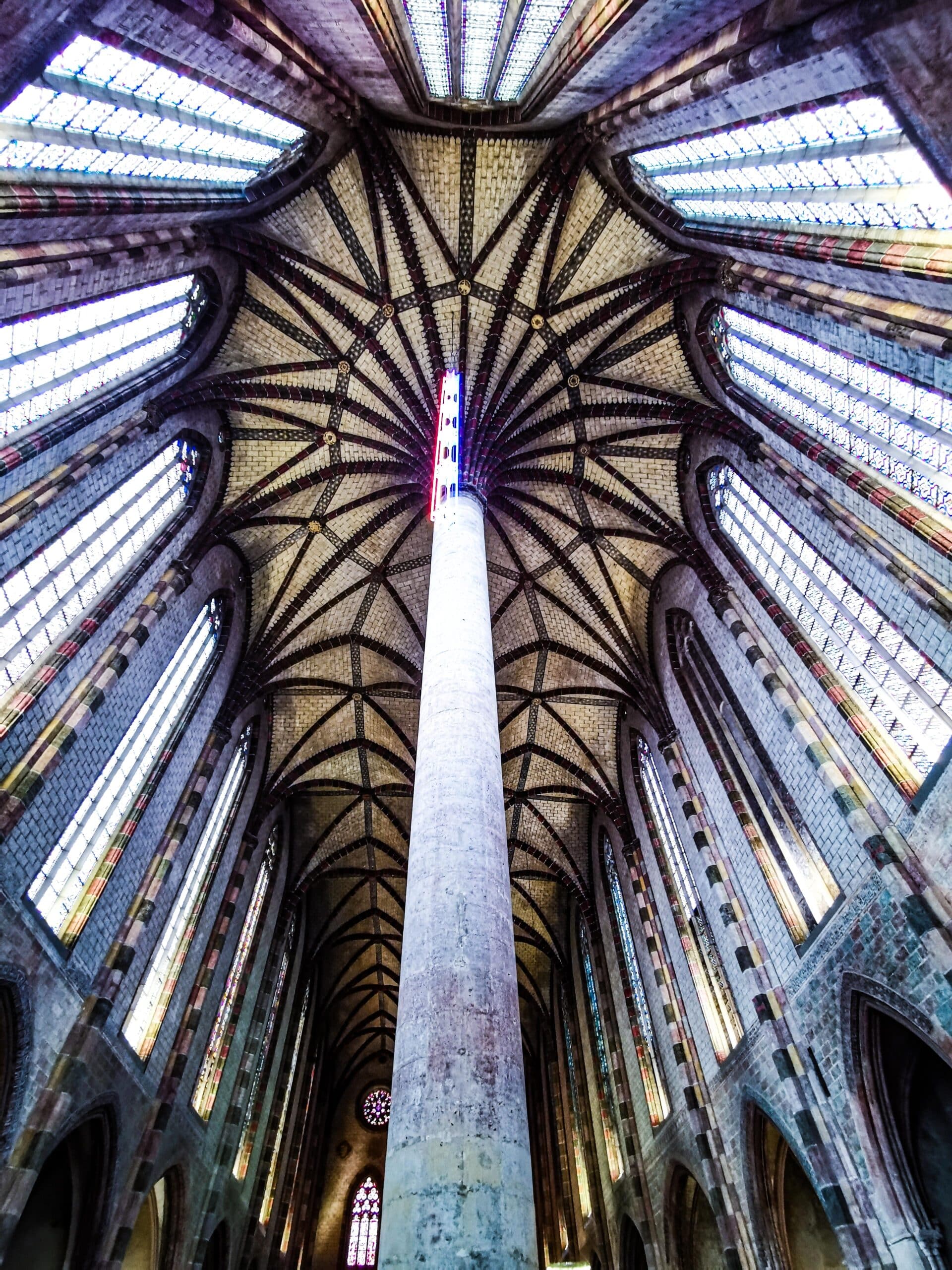 Il palmizio del convento dei Giacobini Il palmizio del convento dei Giacobini