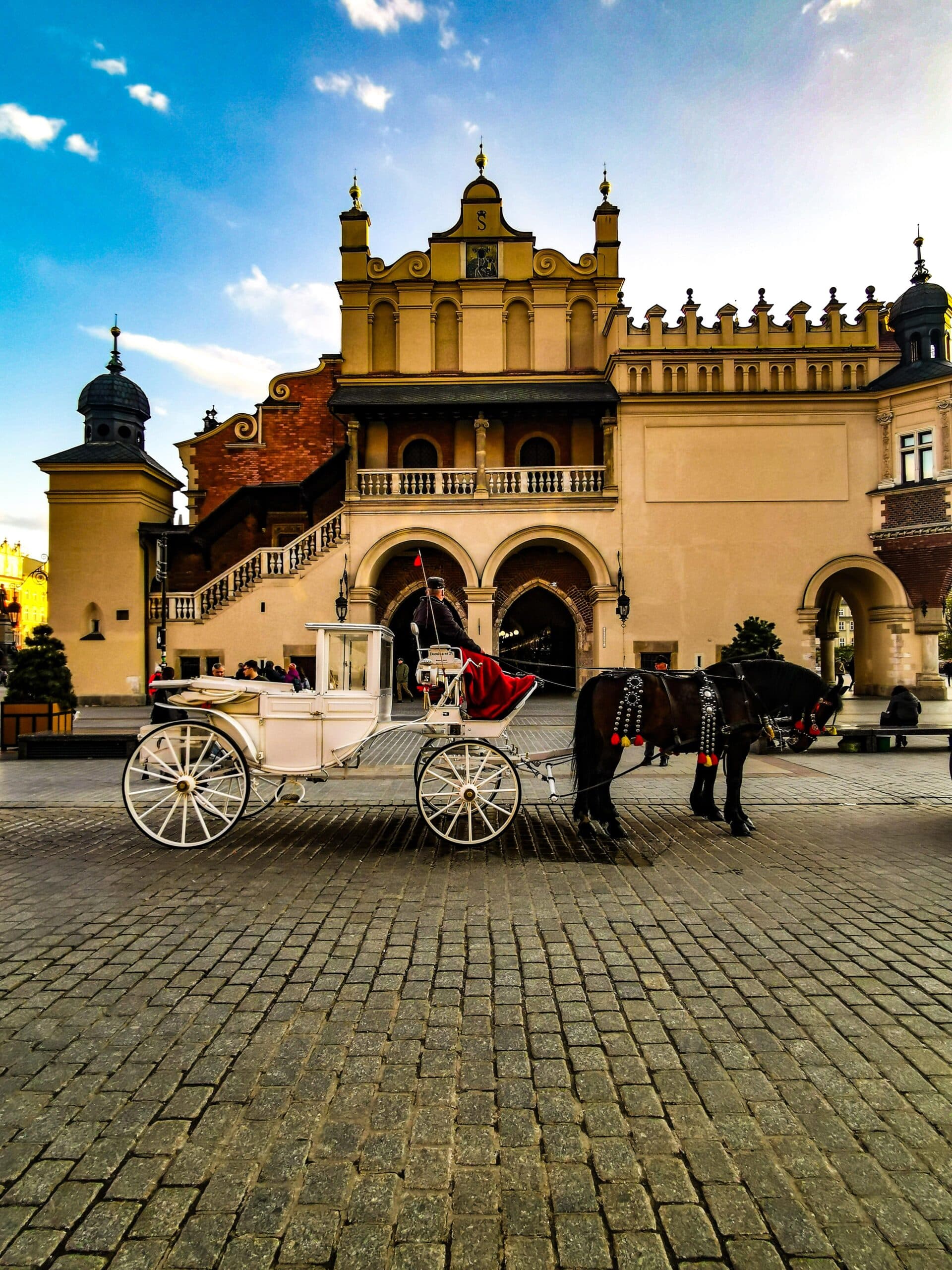 Carrozze per turisti Carrozze per turisti
