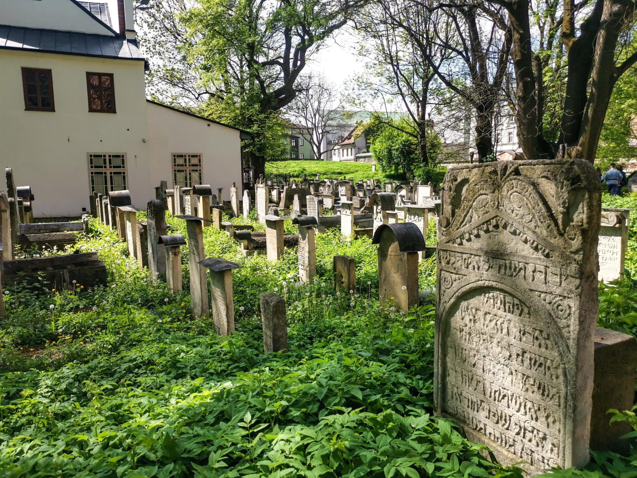 Uno scorcio del cimitero ebraico Uno scorcio del cimitero ebraico
