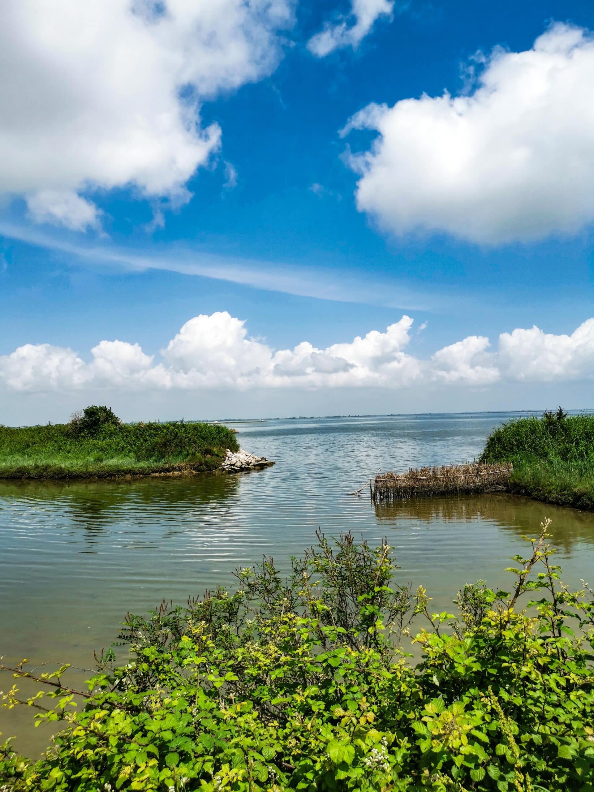 Scorci di laguna lungo la ciclabile Scorci di laguna lungo la ciclabile
