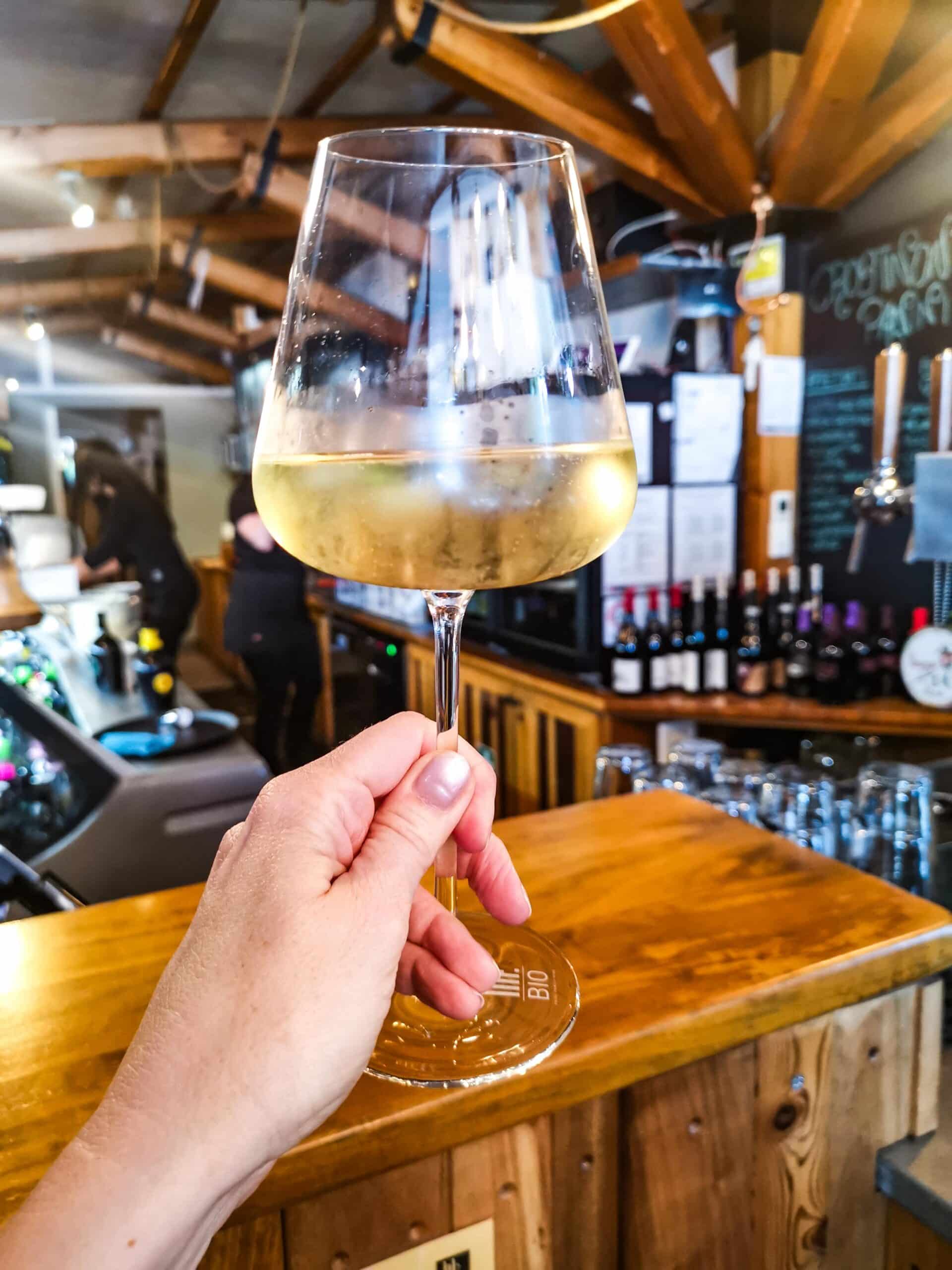 Un primo assaggio di Friulano di Mr BioWine Un primo assaggio di Friulano di Mr BioWine