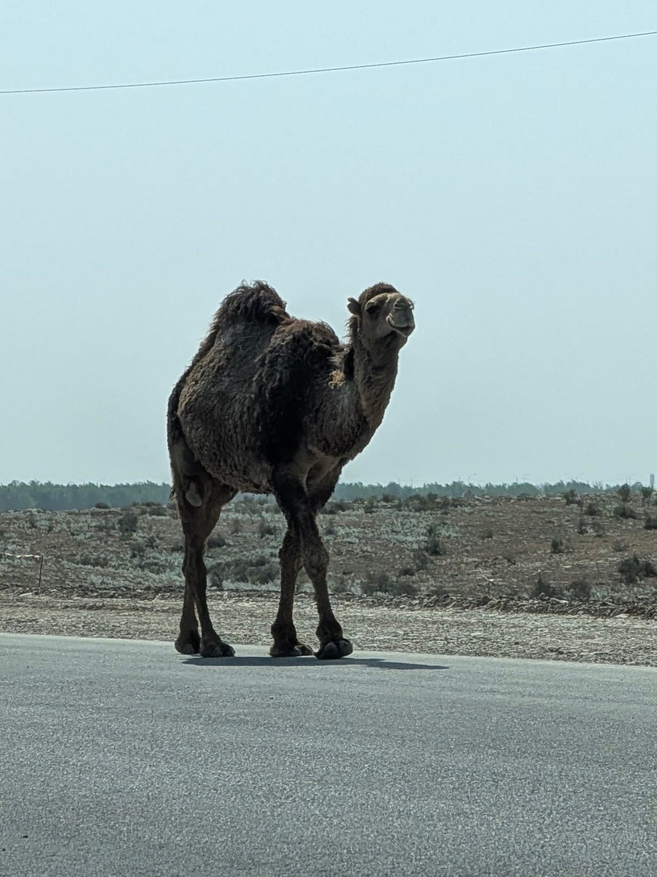 Lungo le strade nei dintorni di Turkistan in taxi Lungo le strade nei dintorni di Turkistan in taxi