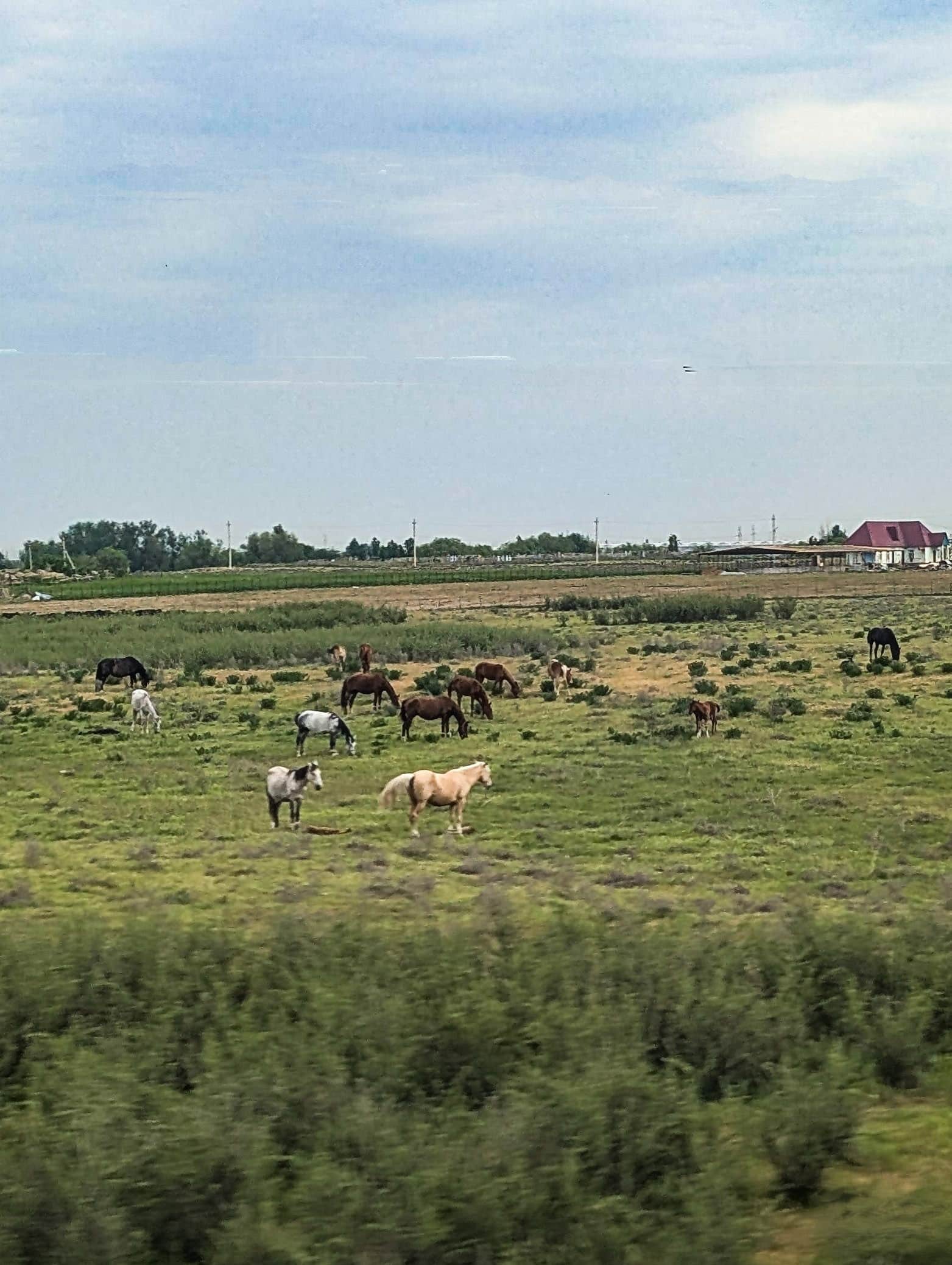 Paesaggio tipico kazako Paesaggio tipico kazako