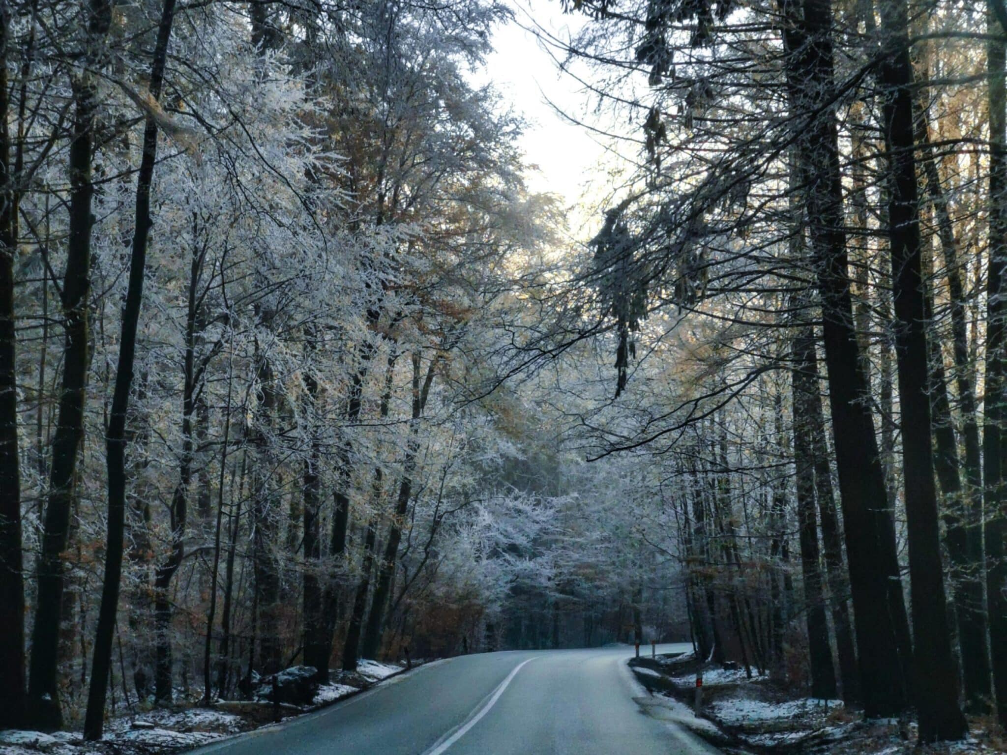 moravia on the road 5 Moravia on the road