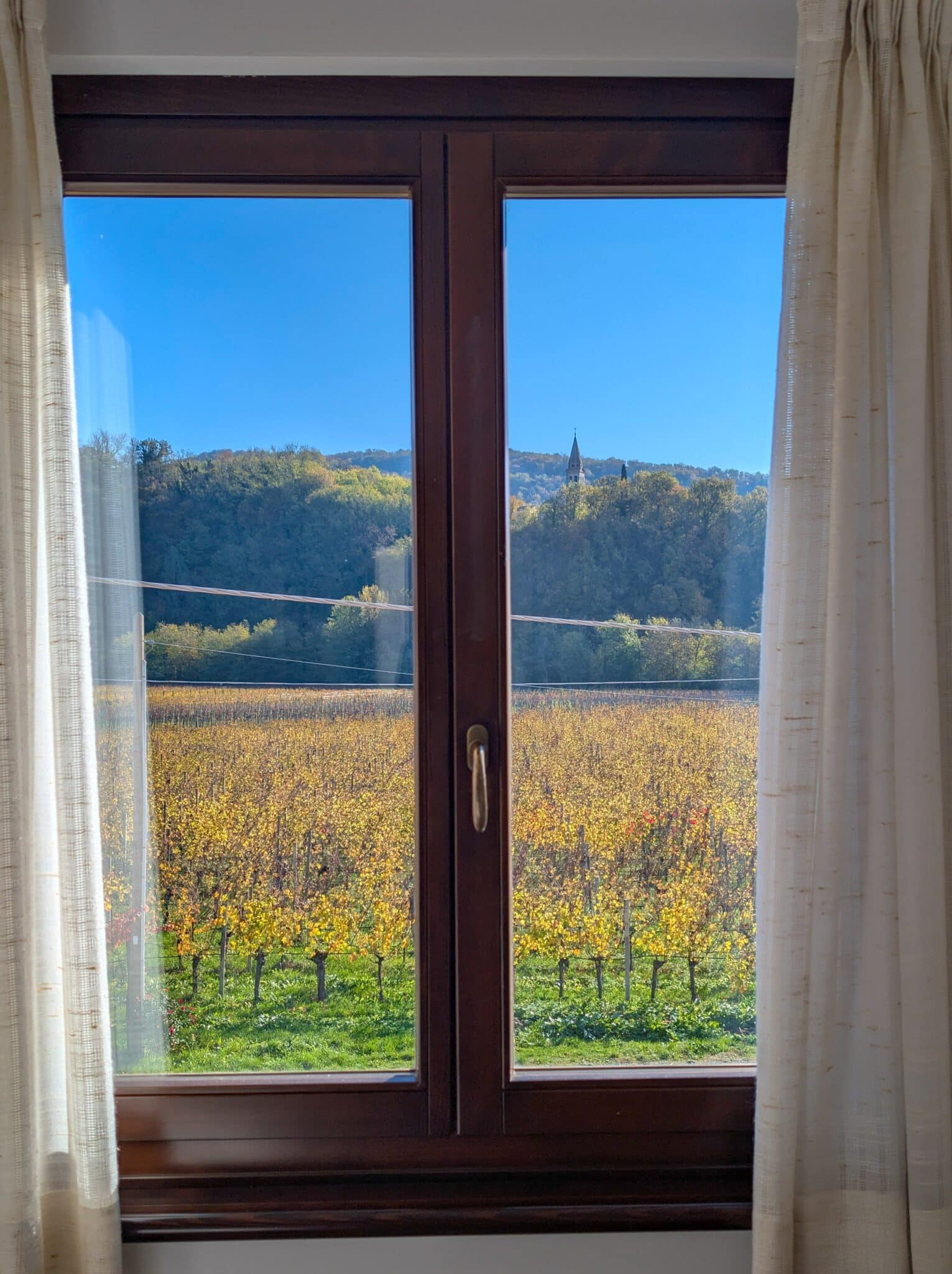 La vista dalla mia camera La vista dalla mia camera