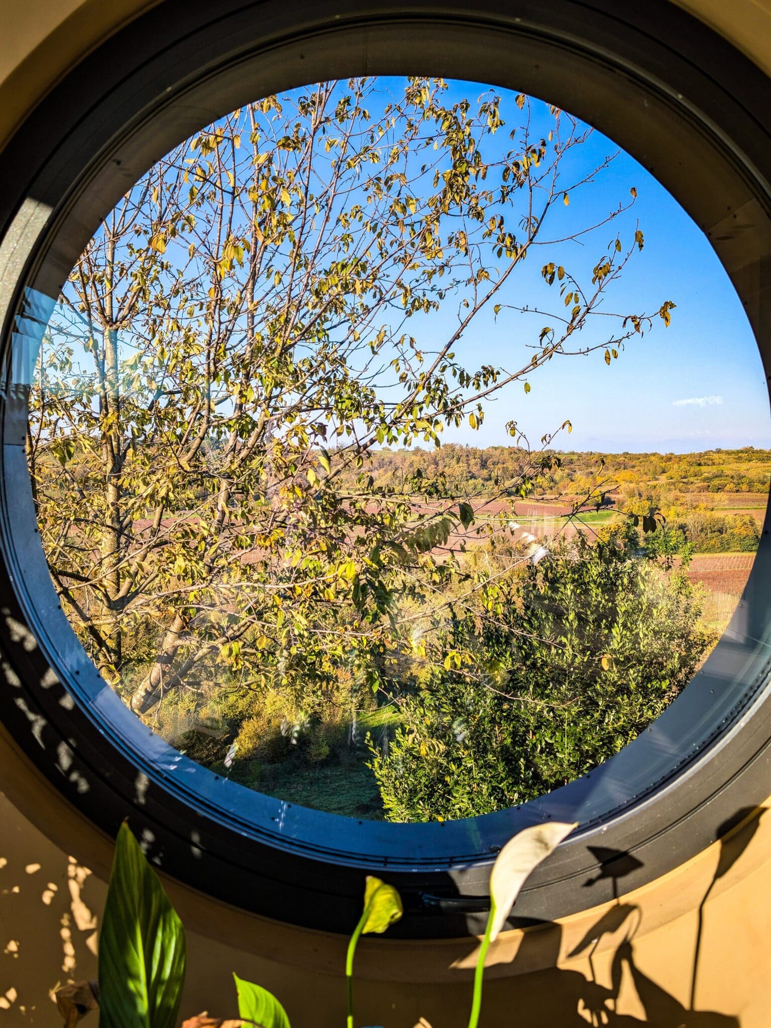 Uno scorcio del paesaggio dalla cantina Uno scorcio del paesaggio dalla cantina