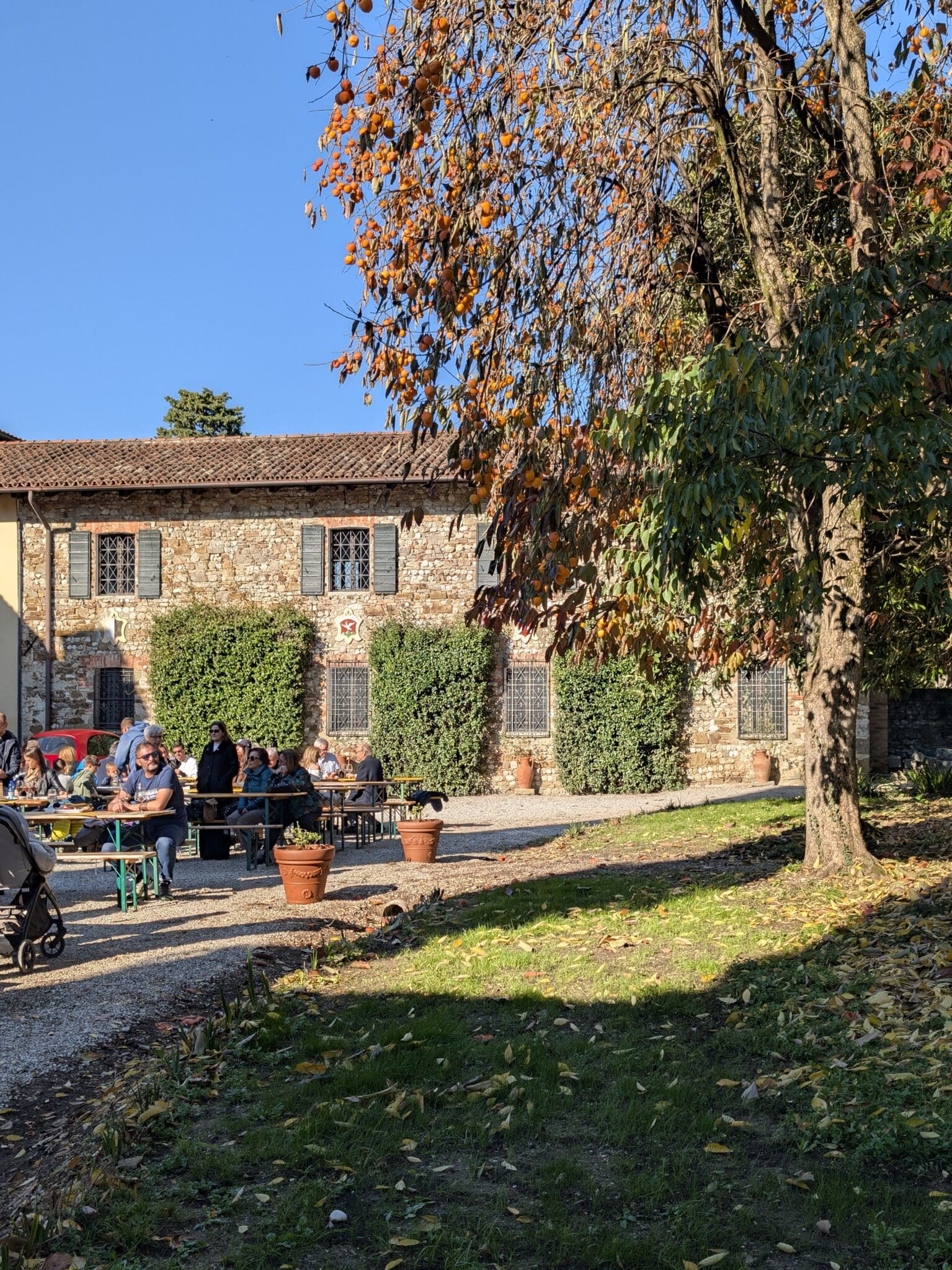 Uno scorcio del parco della villa Uno scorcio del parco della villa