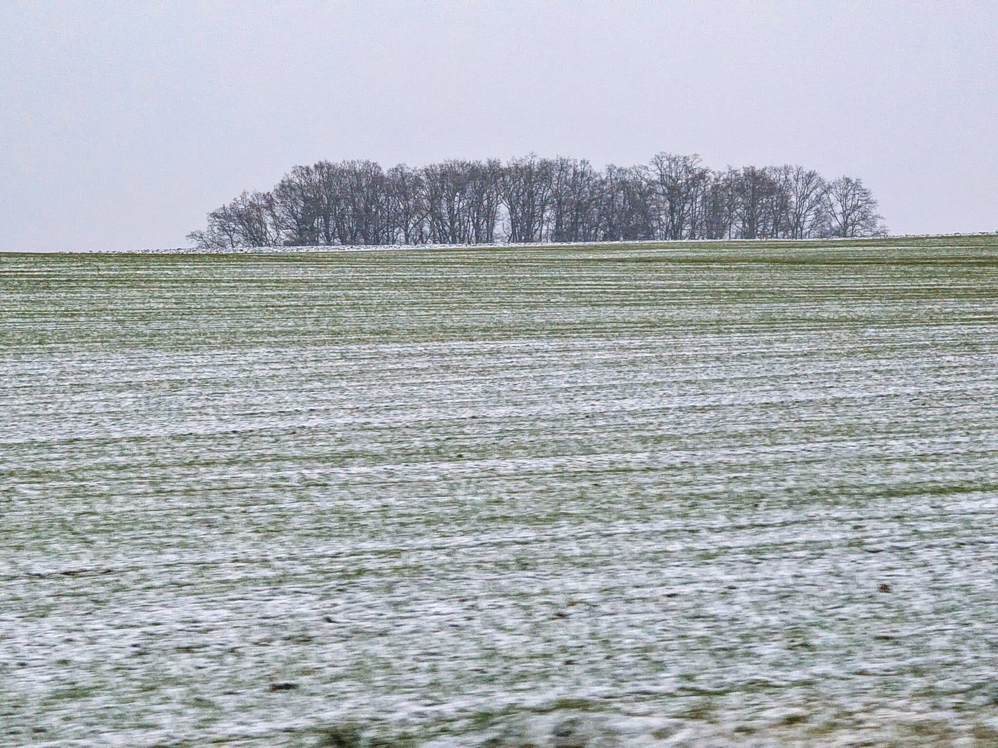 Boemia on the road Boemia on the road